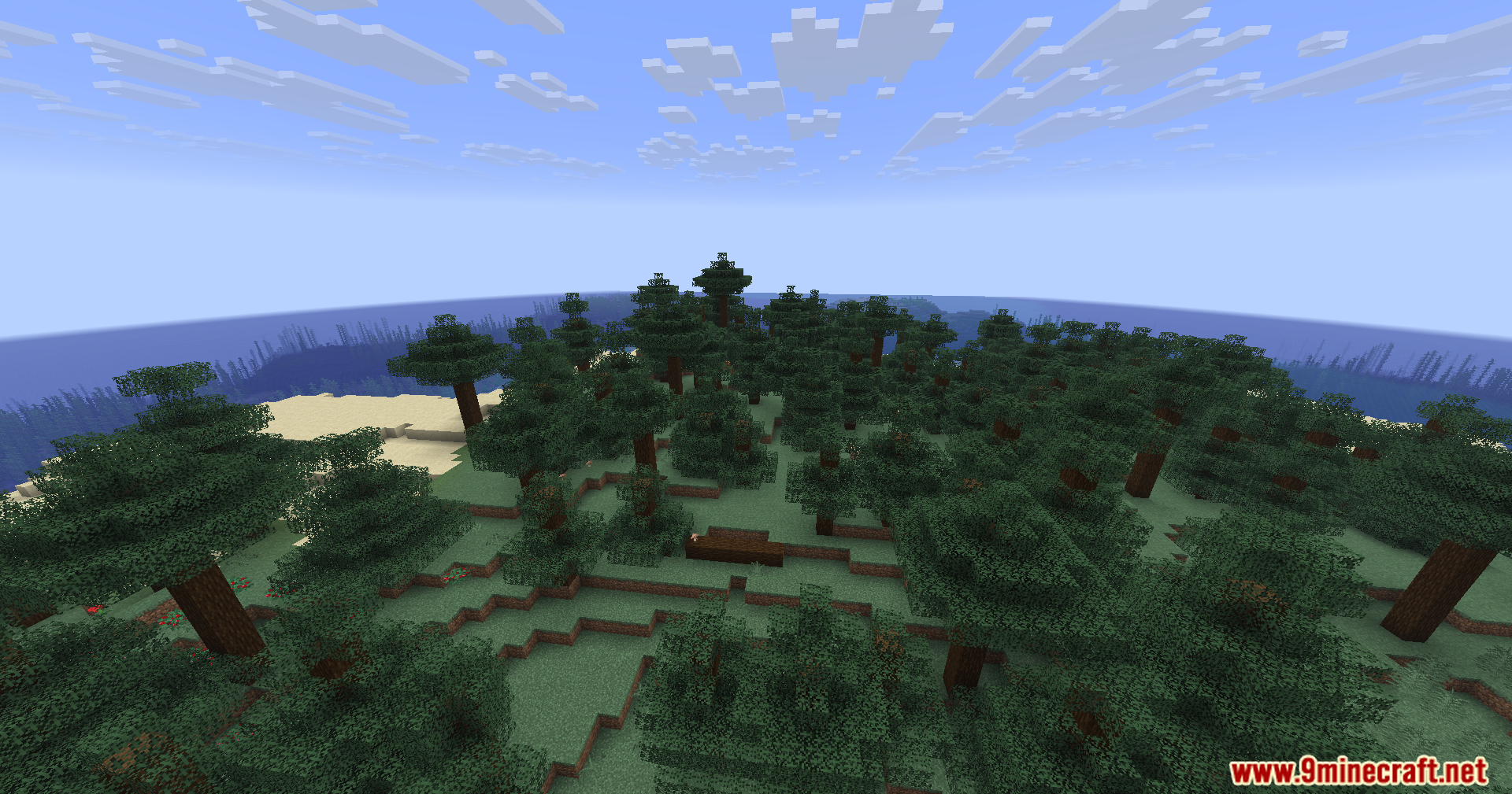 A vast spruce forest biome on an island surrounded by the deep ocean