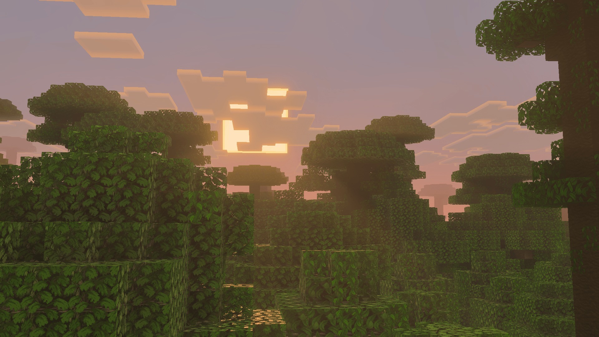 Faithful 64x Addon Screenshot 8 Detailed green leaves in a jungle biome under a glowing sunset sky