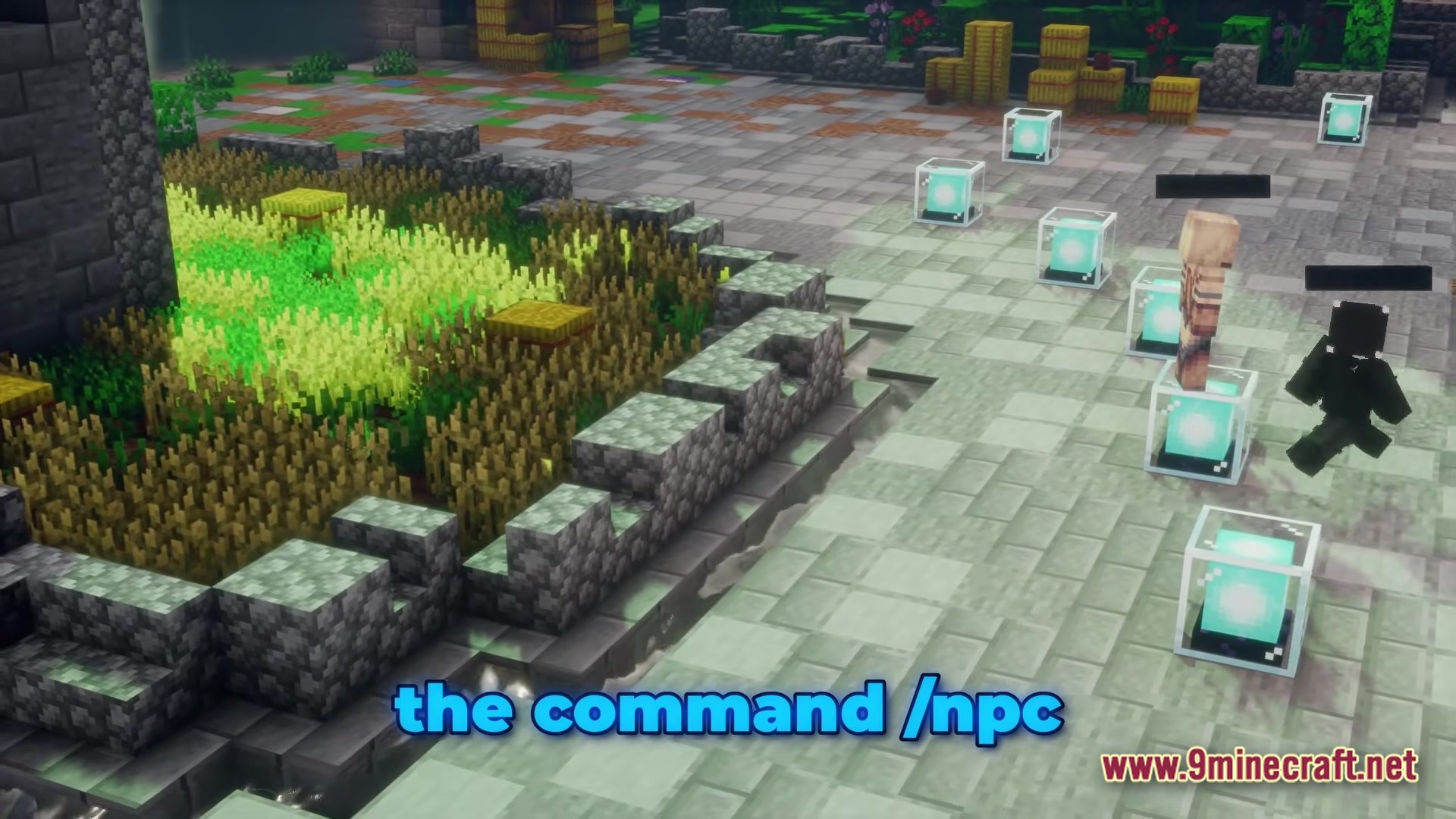 Fancy Npcs Plugin Screenshot 1