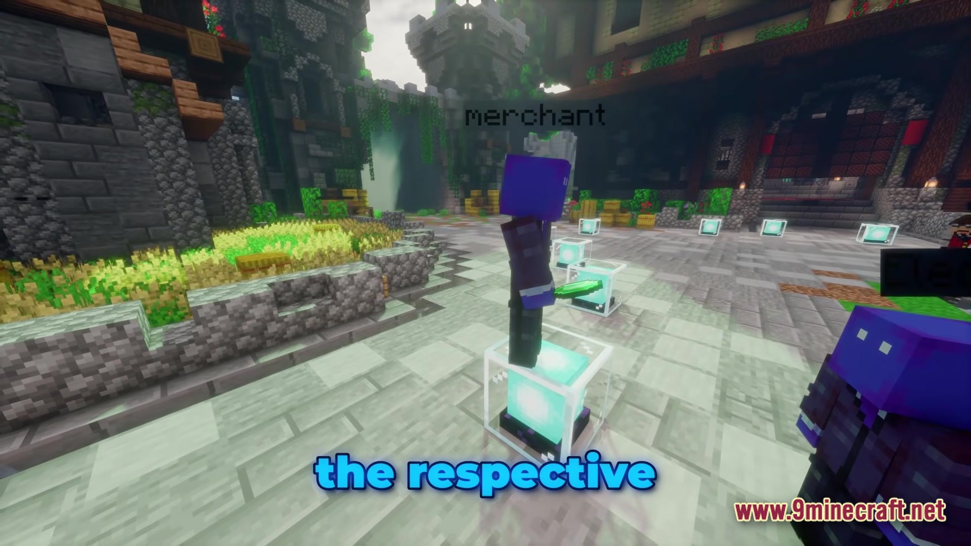 Fancy Npcs Plugin Screenshot 2