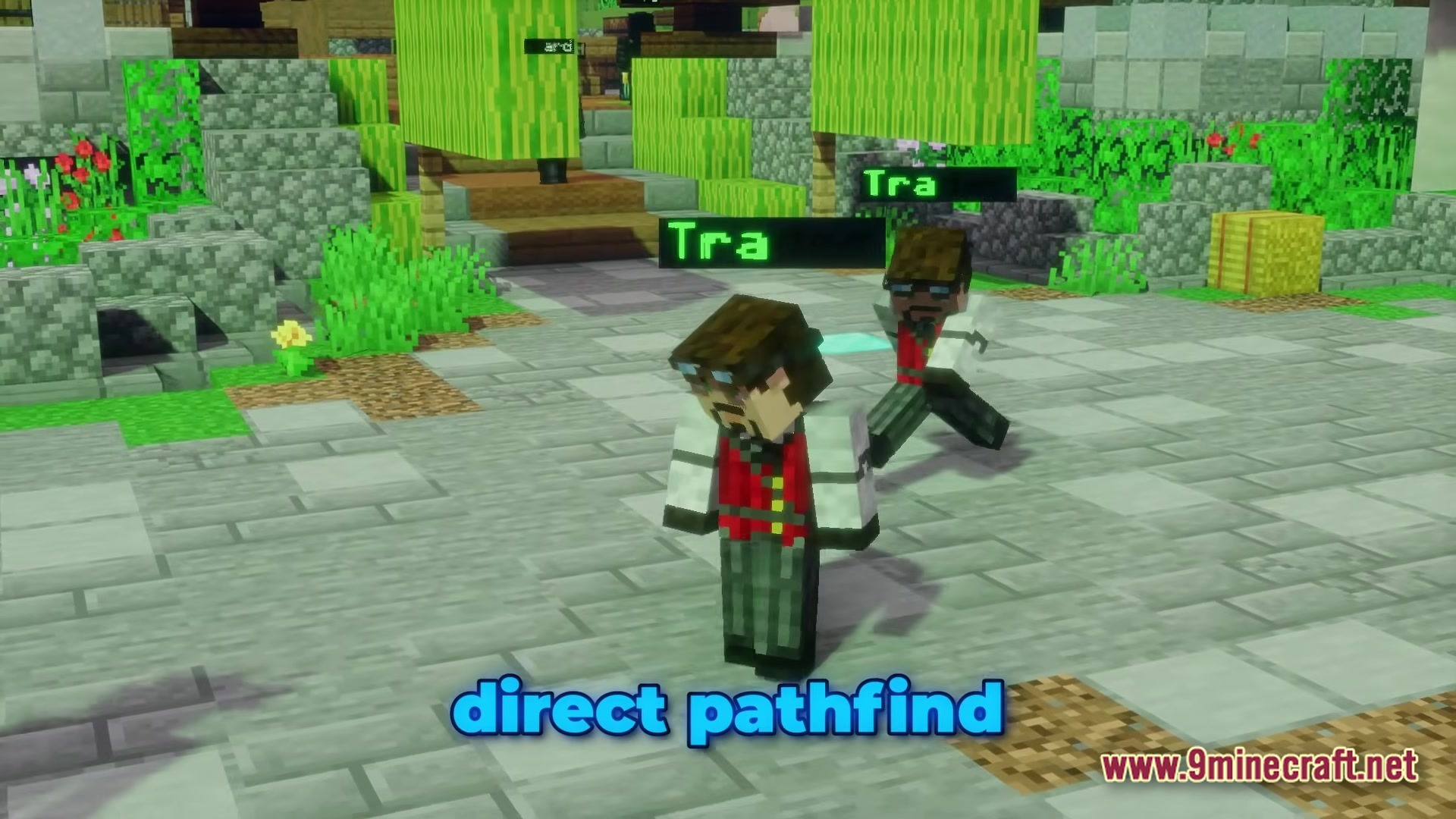 Fancy Npcs Plugin Screenshot 3