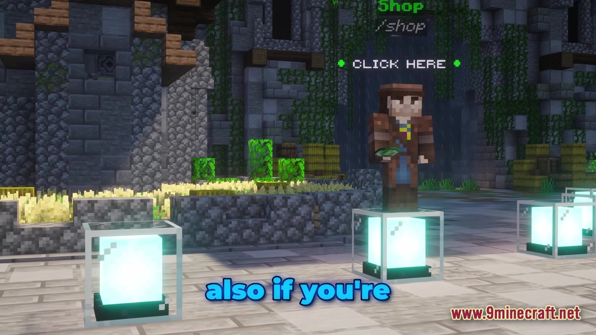 Fancy Npcs Plugin Screenshot 5