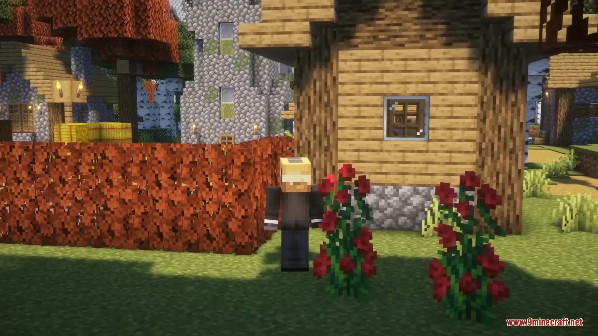 A player stands near rose bushes and a leaf hedge outside a house