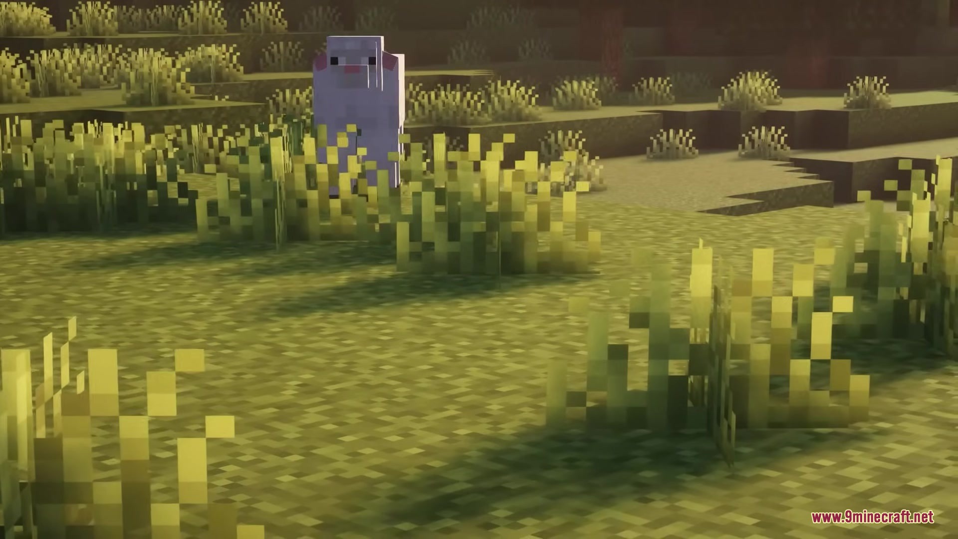 Glamurous View by Off_garo Resource Pack Screenshot 11 A white sheep stands behind tall grass in a warm sunset field