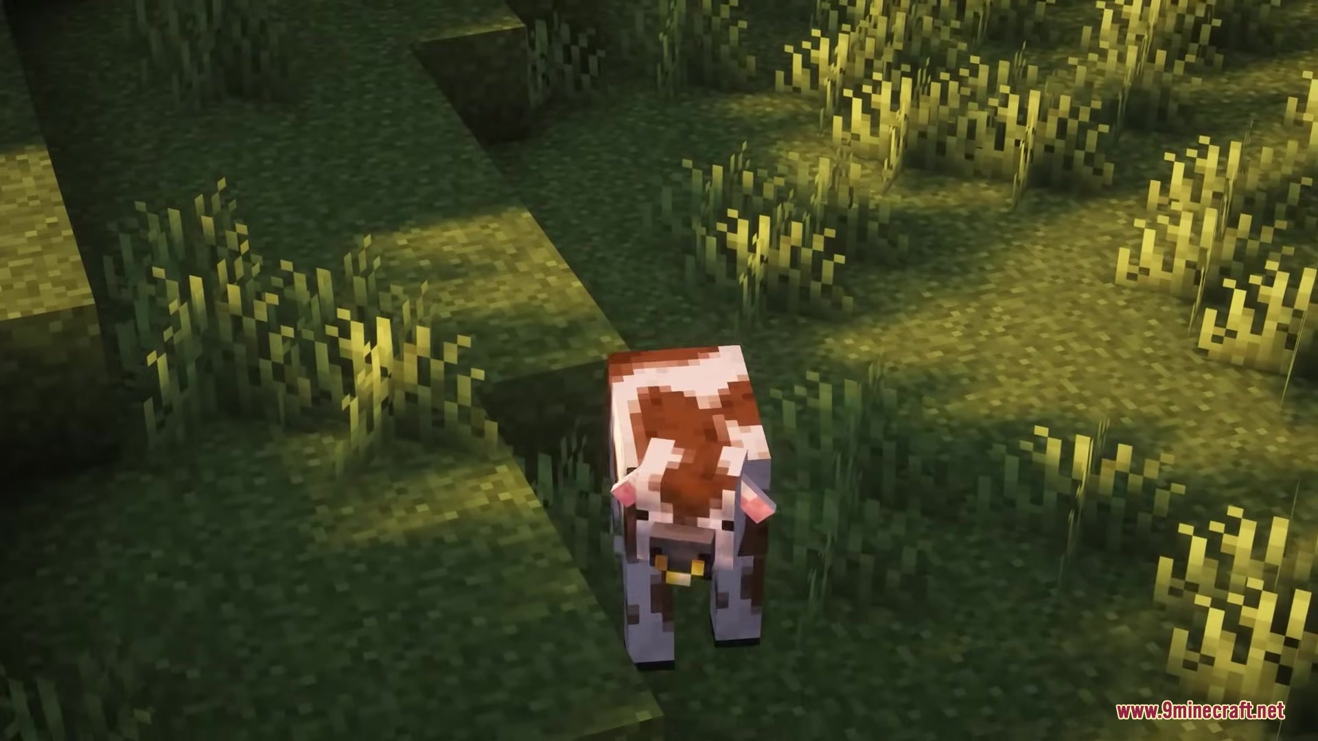 Glamurous View by Off_garo Resource Pack Screenshot 13 A brown and white cow with a bell stands on the grass