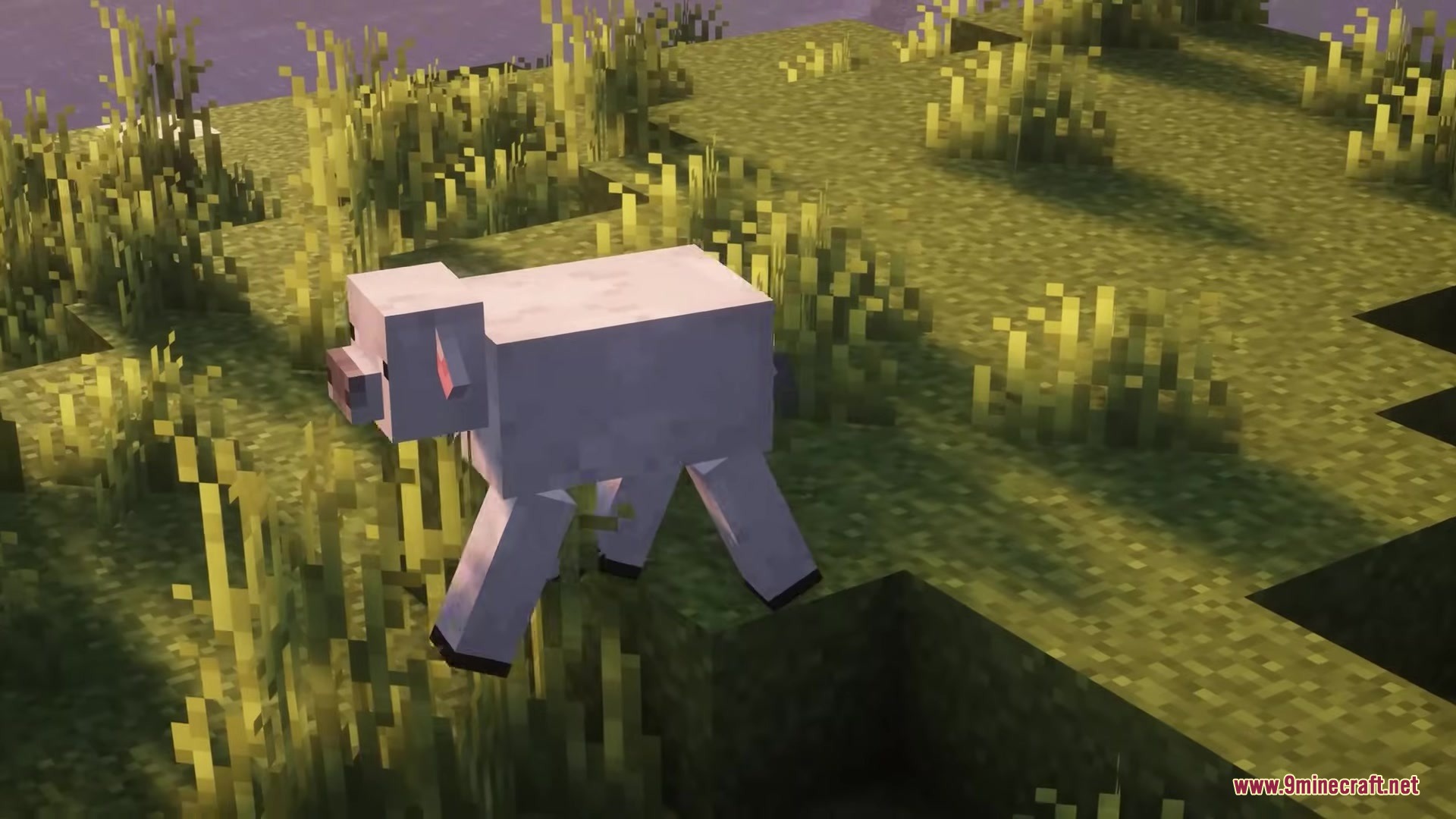 Glamurous View by Off_garo Resource Pack Screenshot 14 A white pig variant walks through tall grass in a sunny field
