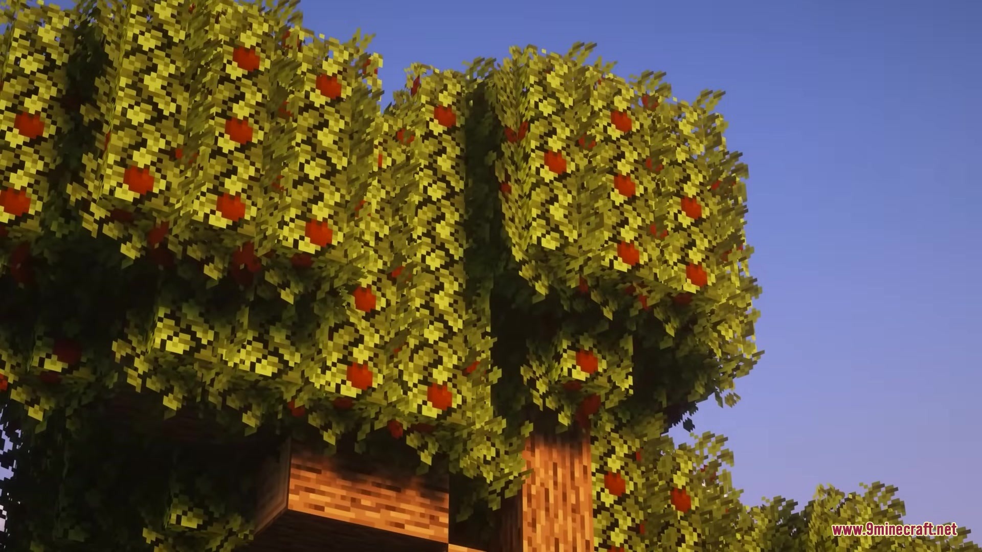 Glamurous View by Off_garo Resource Pack Screenshot 2 Dense bushy leaves with red apples on a tree in Minecraft world
