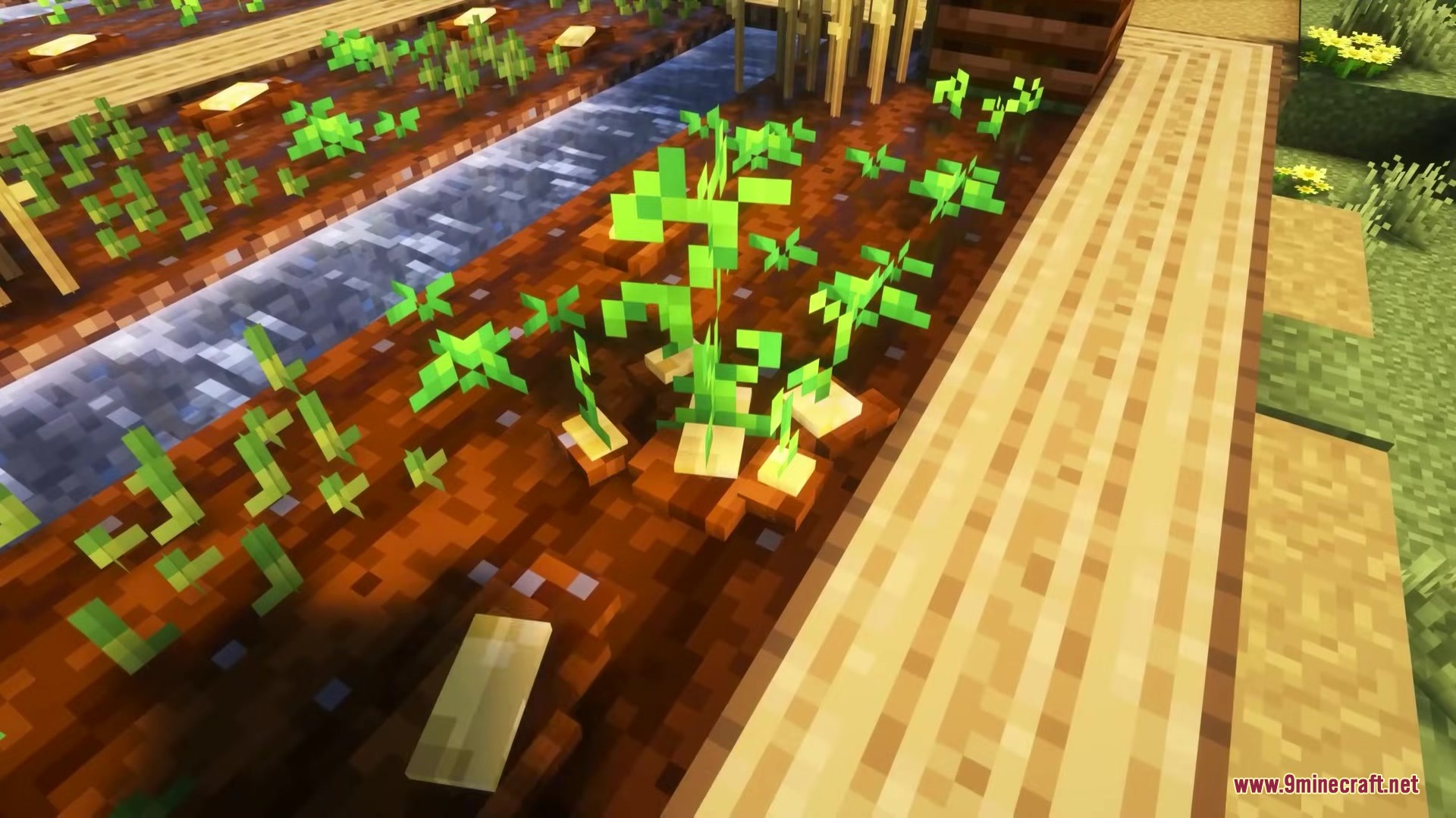 Glamurous View by Off_garo Resource Pack Screenshot 6 Lush 3D plants and crops growing in a farm with water irrigation