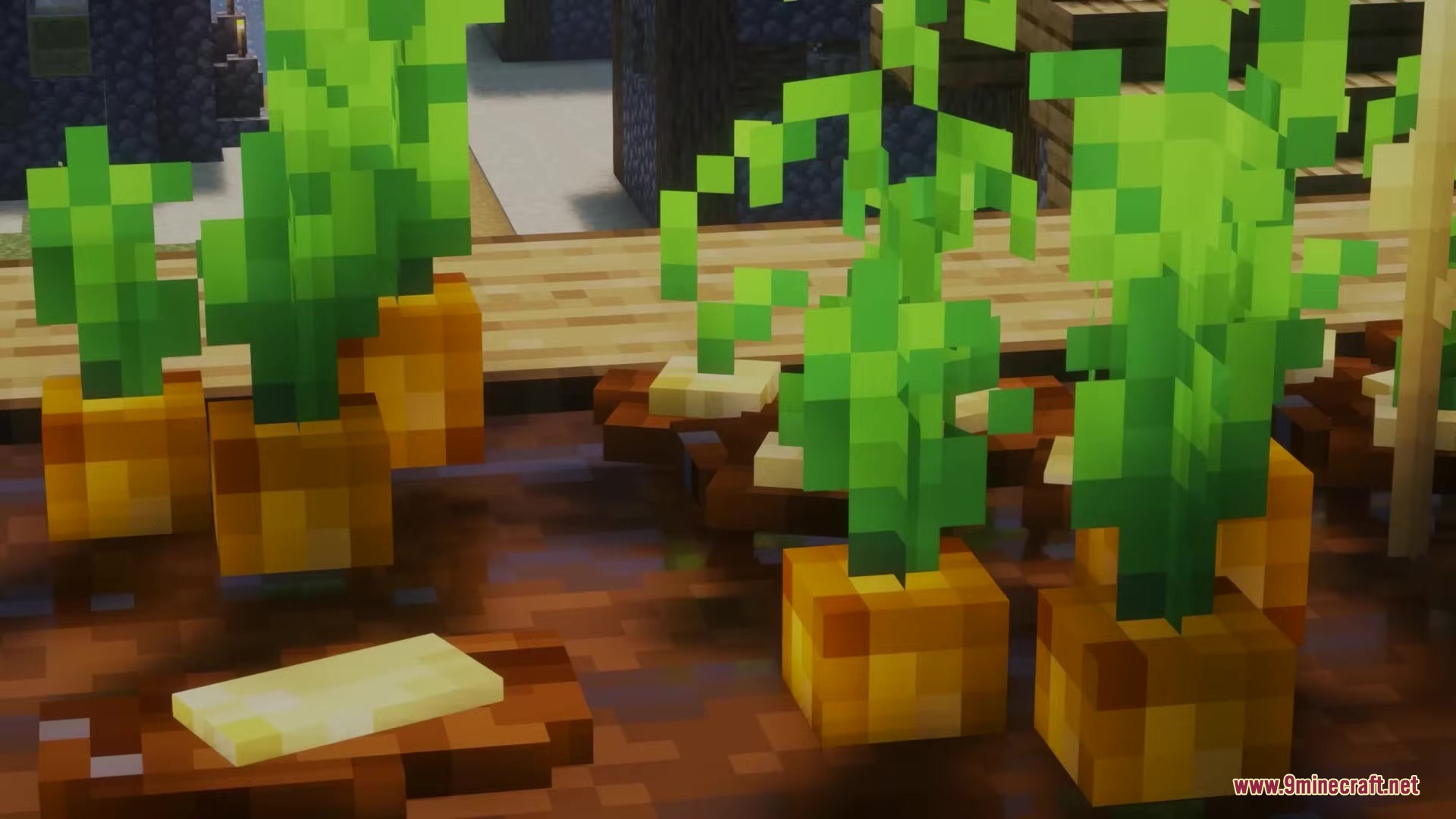 Glamurous View by Off_garo Resource Pack Screenshot 7 Close up of 3D carrots and wheat in a Minecraft farm garden
