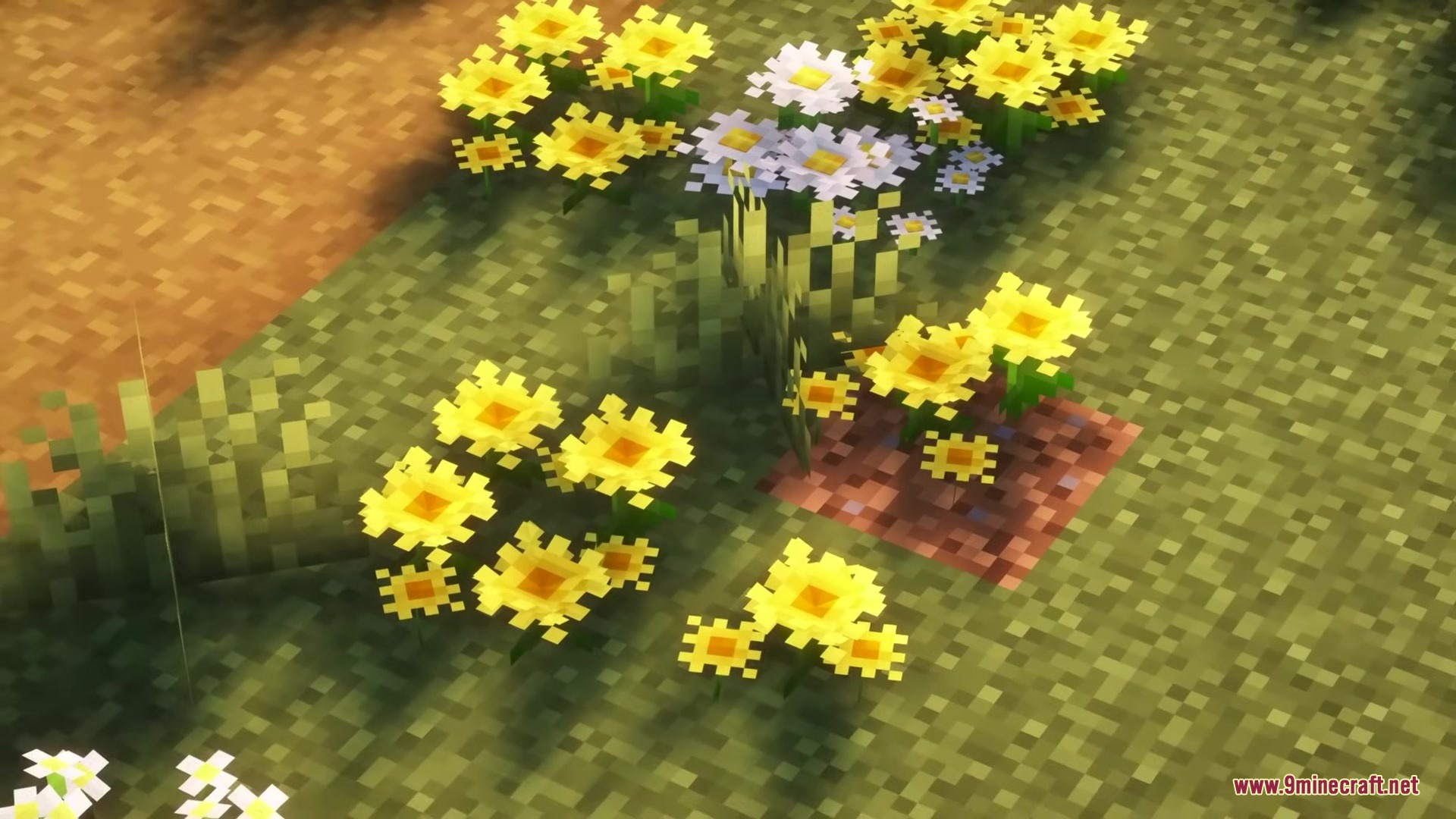 Glamurous View by Off_garo Resource Pack Screenshot 9 Yellow dandelions and white daisies with 3D models on green grass