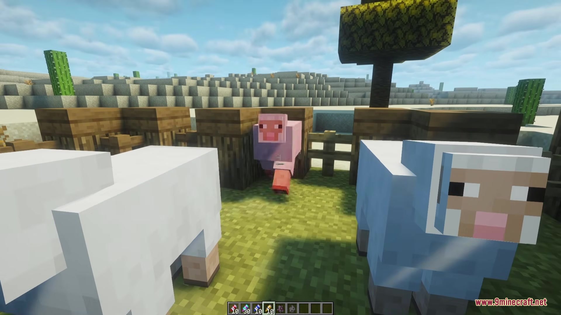 Glued Reborn Mod Screenshot 3 Three colorful sheep standing still in a fenced area using Glued Reborn Mod