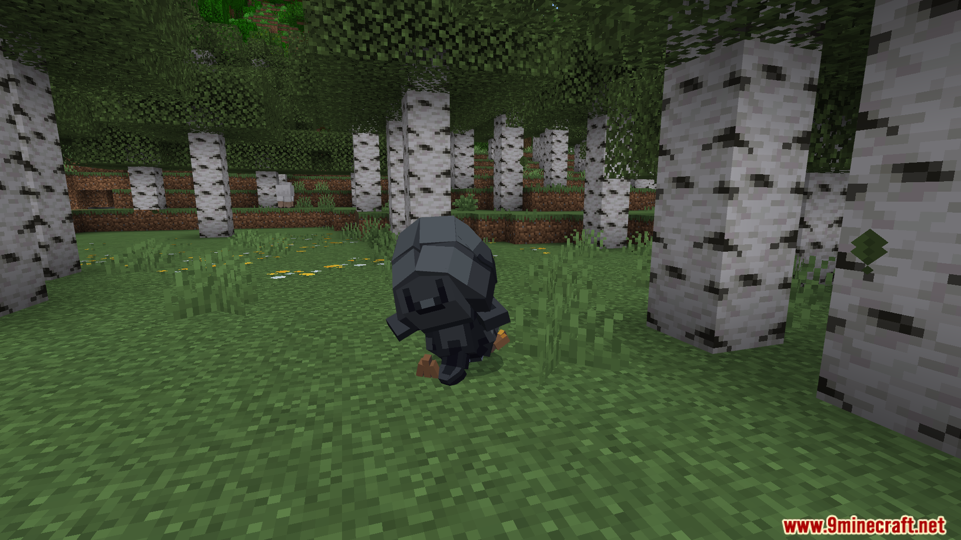 Gugugaga Addon Screenshot 2 A small black penguin creature standing on grass in a birch forest