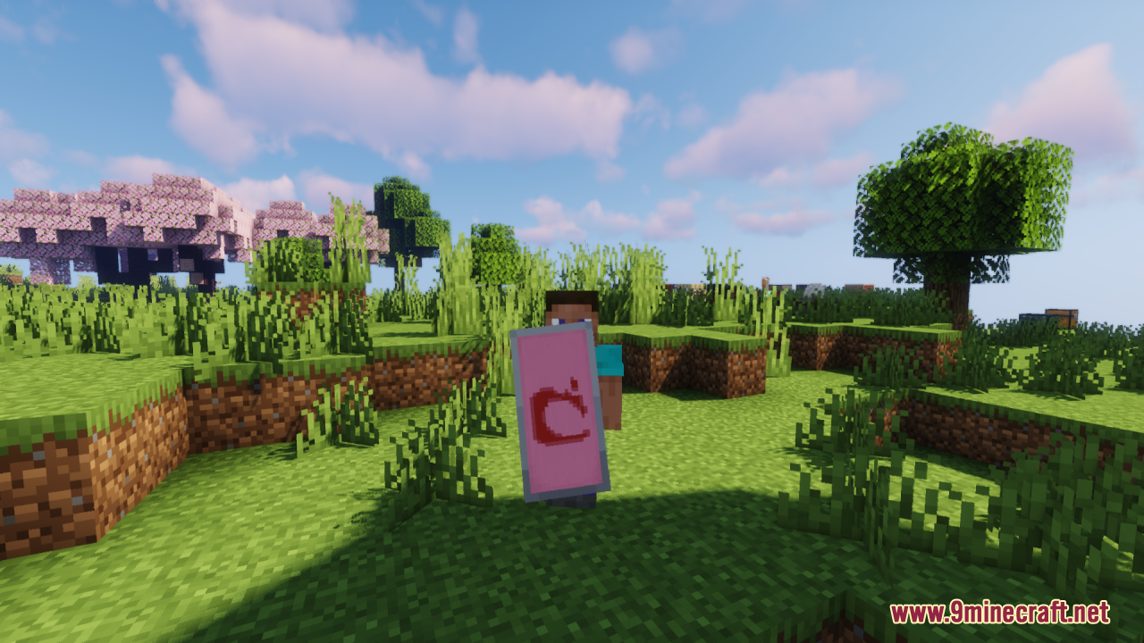 A player character holding a pink shield with a high resolution red pattern