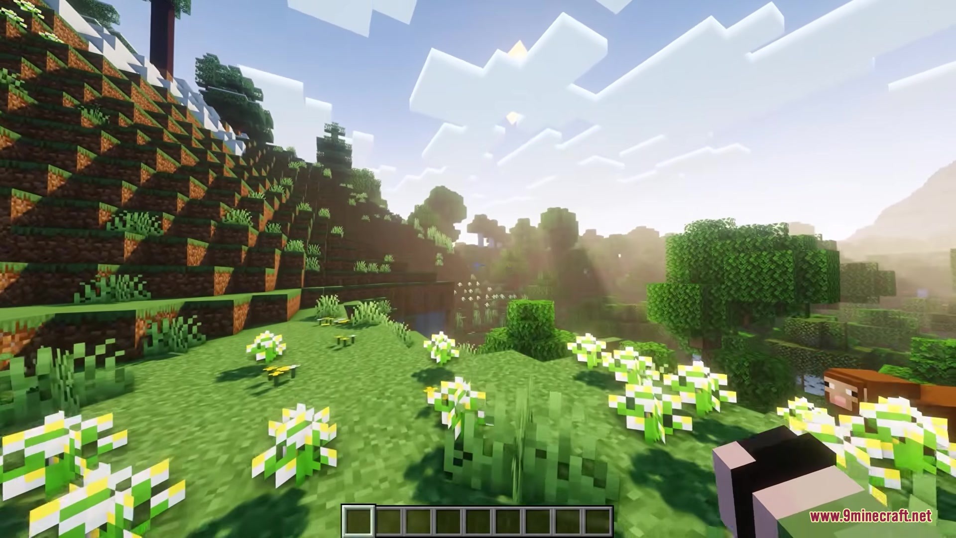 The screen tilts naturally while the player moves through a flower field