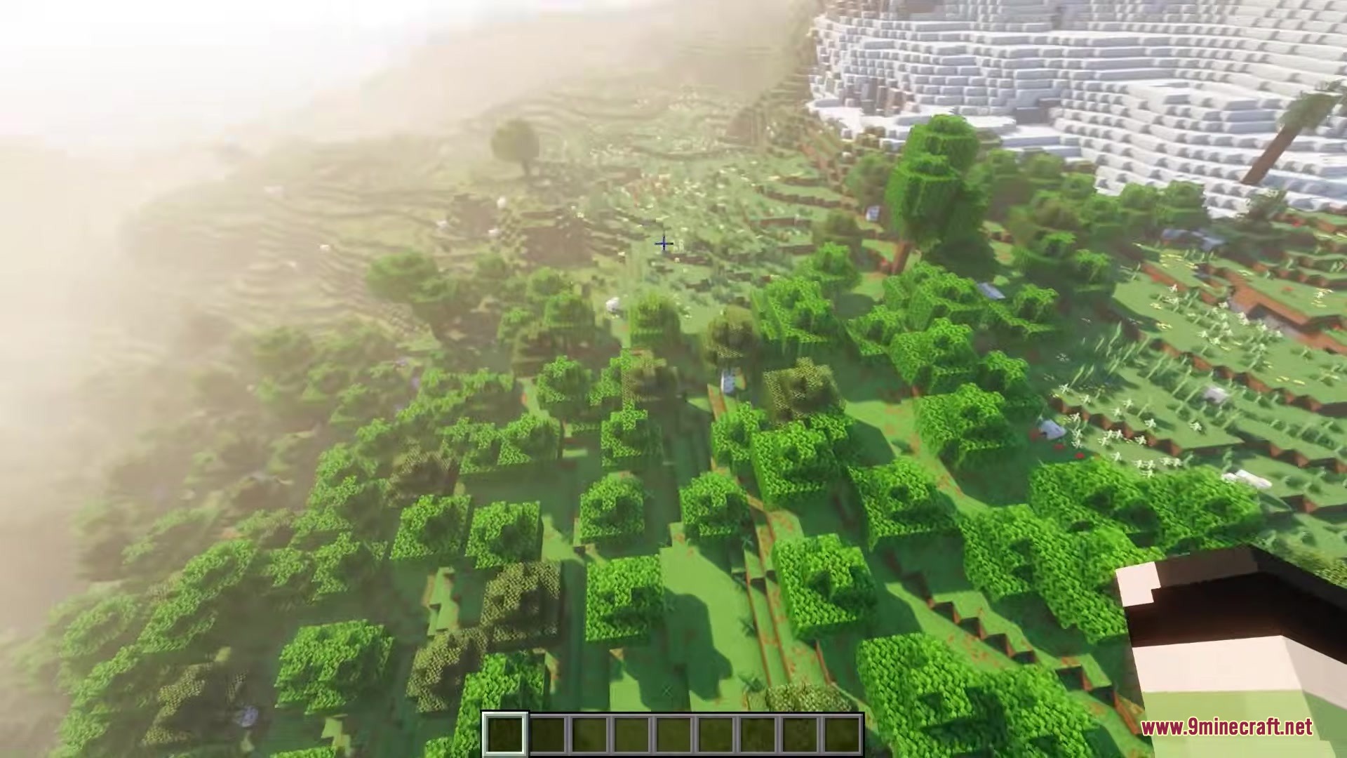 A hazy high altitude view of a forest and snowy mountain biome