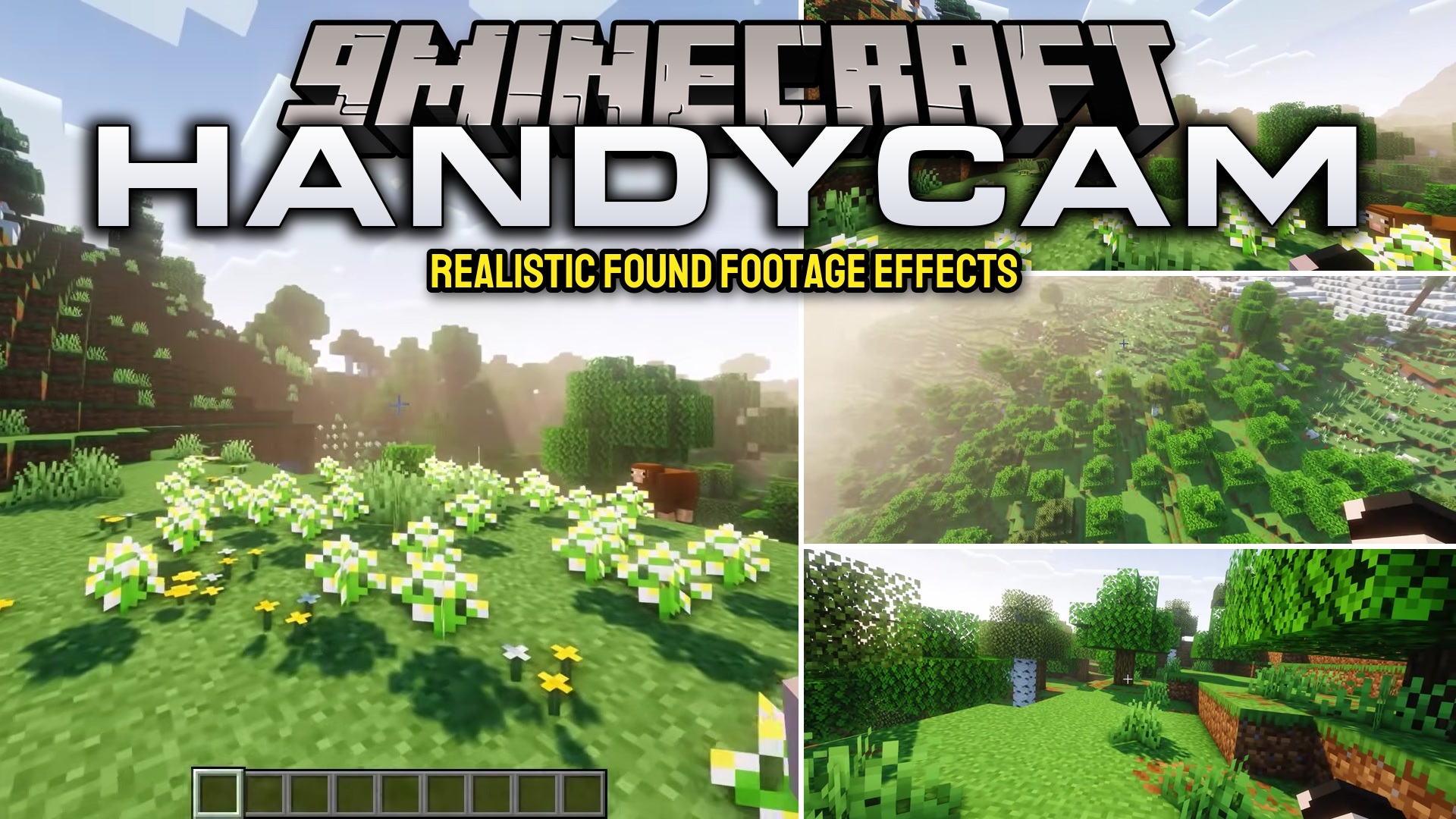 Handycam Mod