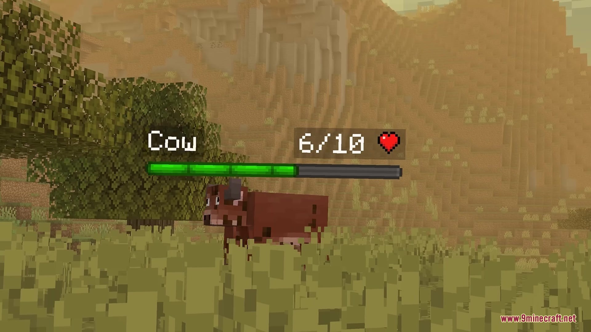 A brown cow in tall grass with a green health bar above it