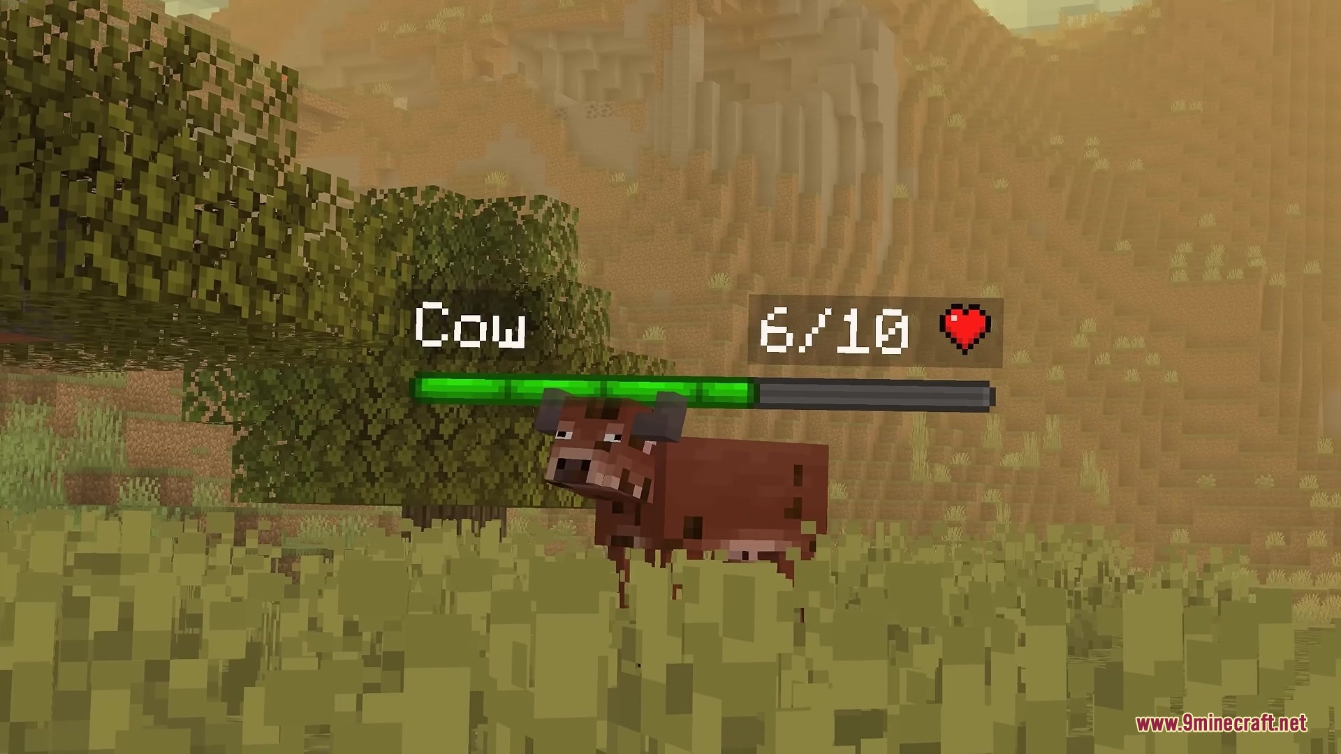 A cow in a field showing its health status through a floating bar