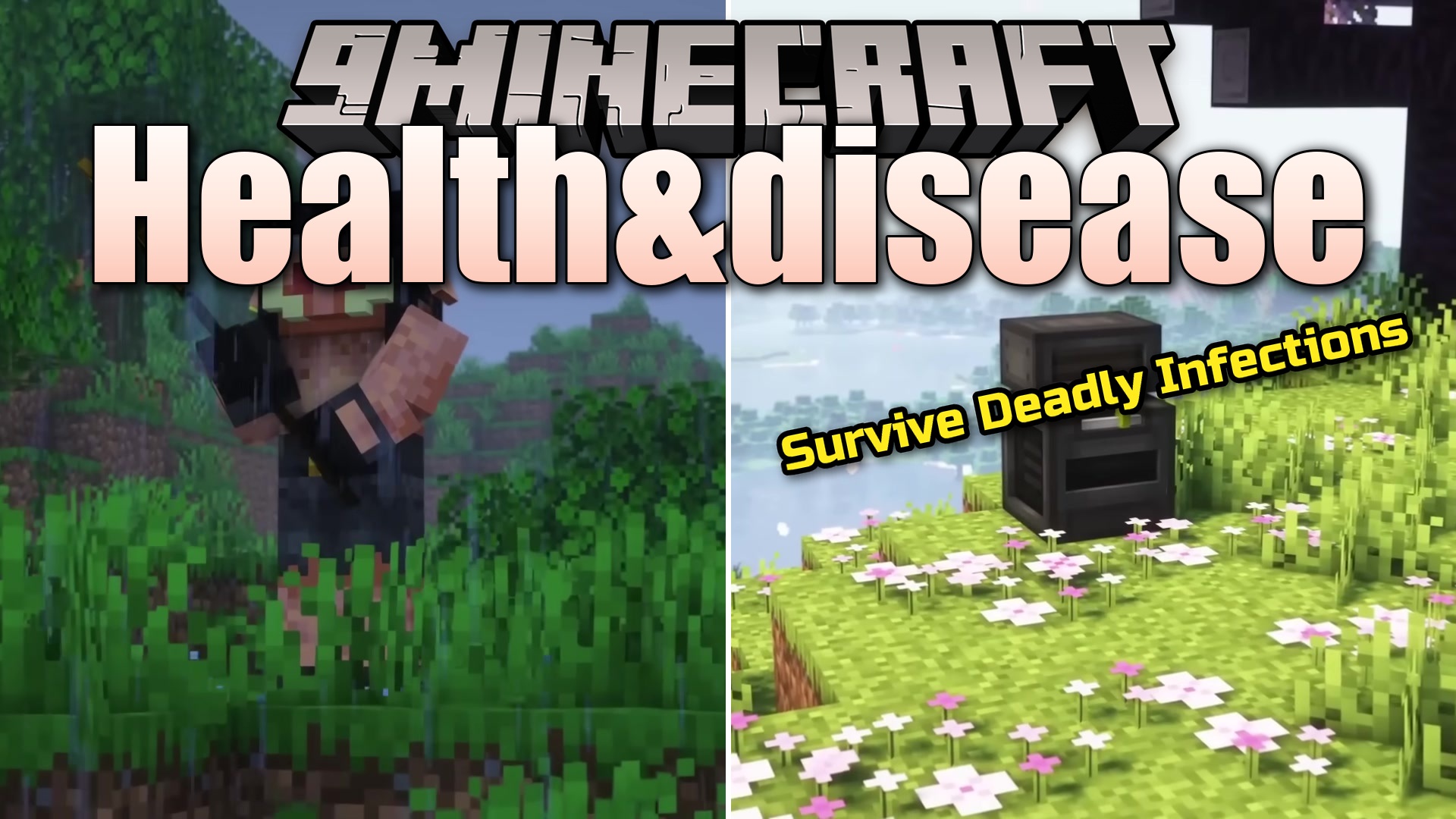 Health&disease Mod