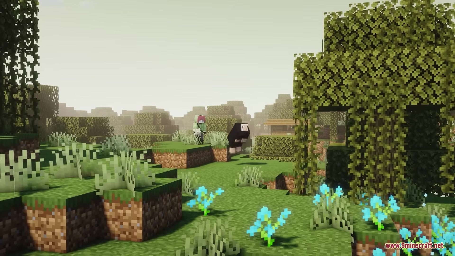 Player holding a white frog while standing near a black sheep outdoors