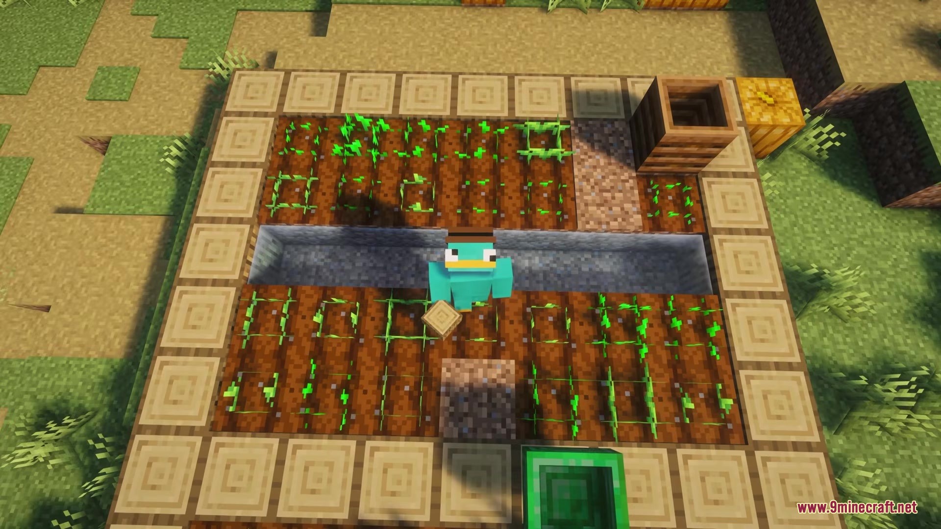 Hopper Plus Mod Screenshot 8 A player with a platypus skin stands in a small Minecraft farm