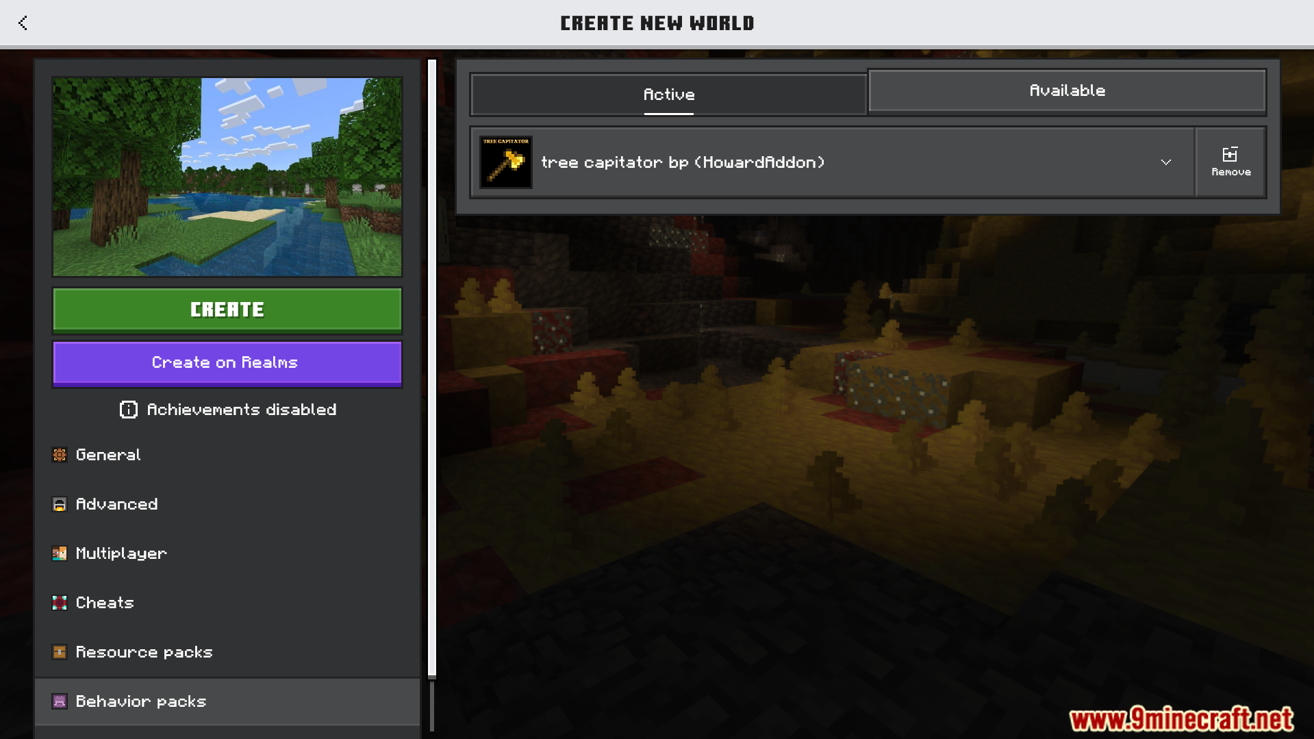 A Minecraft world