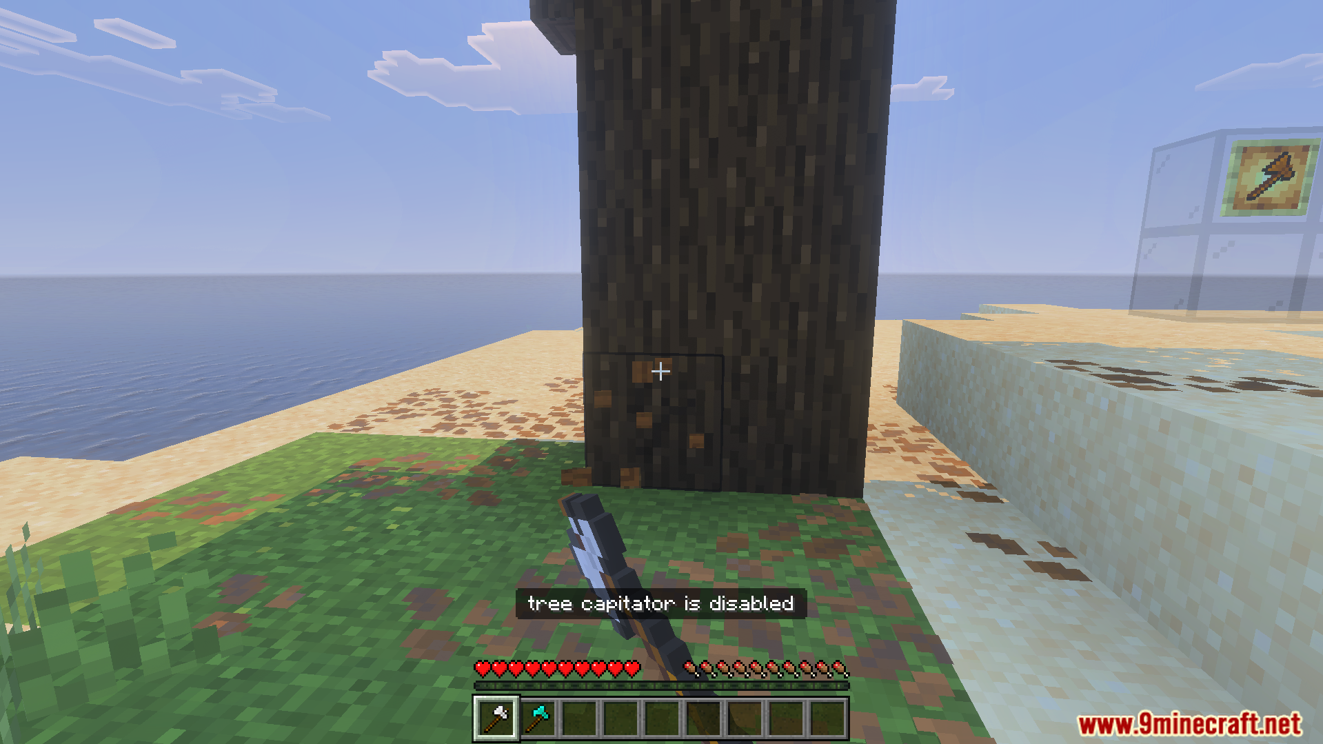 Player holding an axe while looking at a large dark oak tree trunk