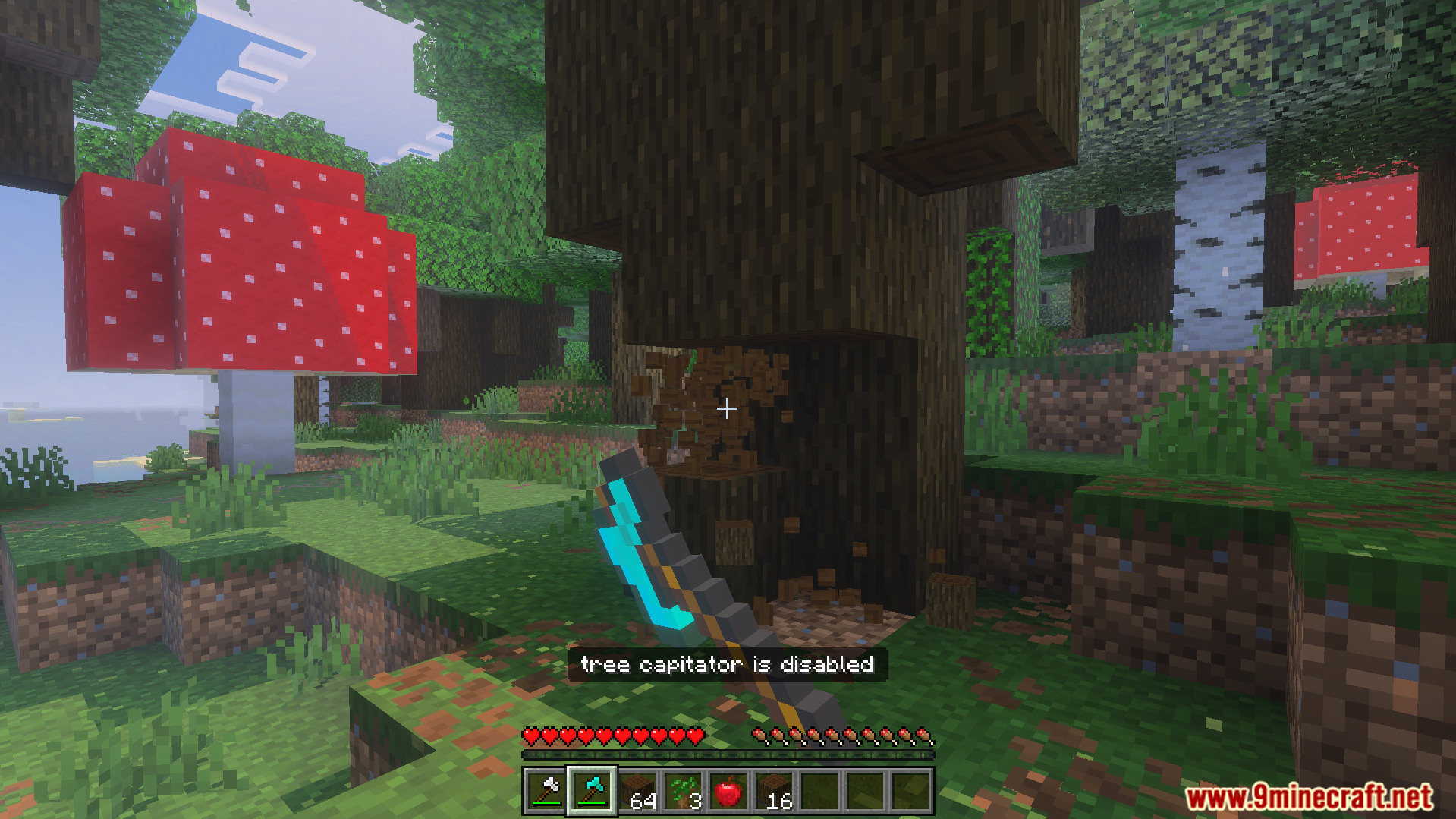 Player holding a custom axe from the Howards Tree Capitator Plus Addon