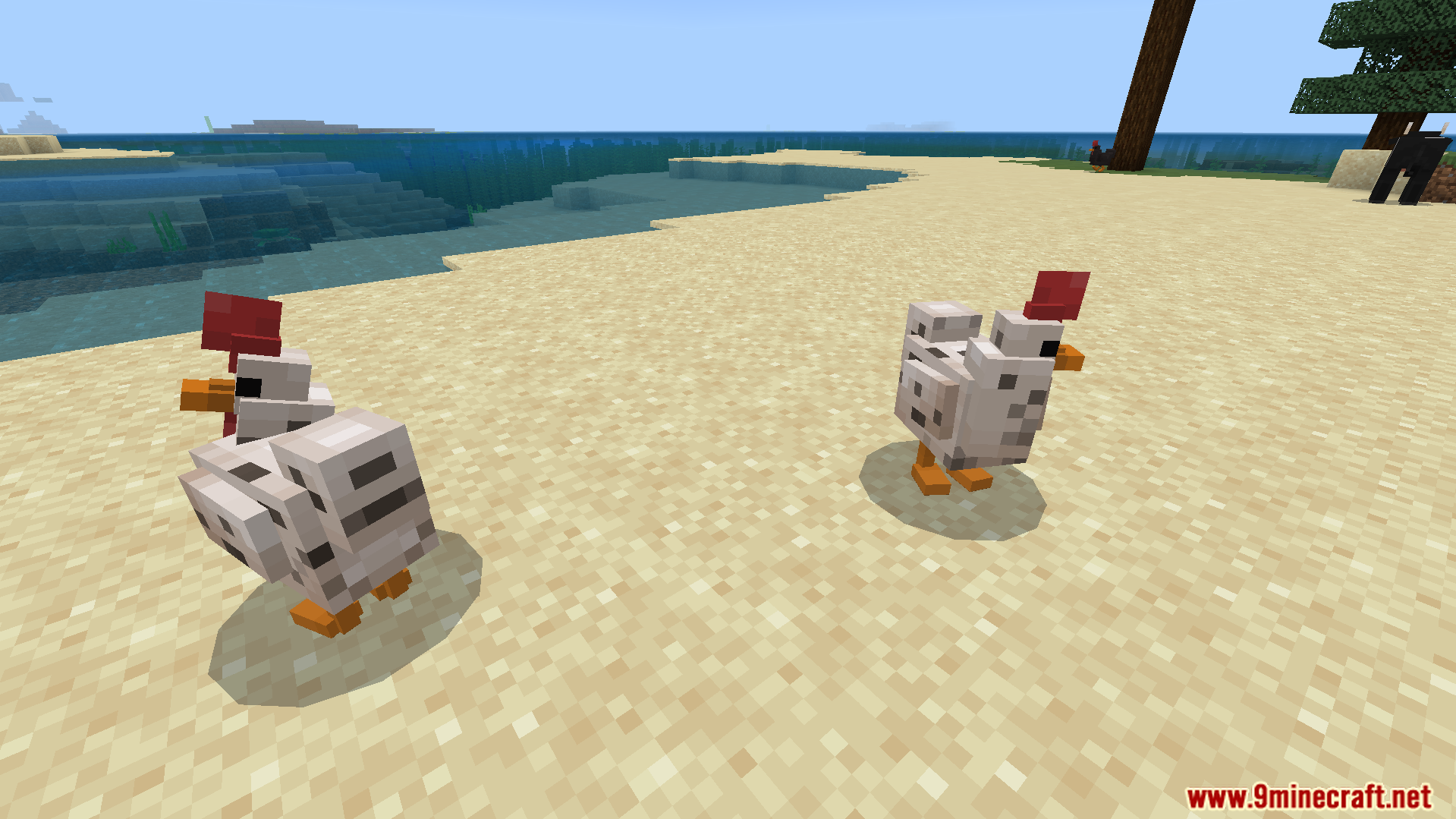 JellyJams Texture Pack Screenshot 2 Two chickens with custom models and textures standing on a sandy beach