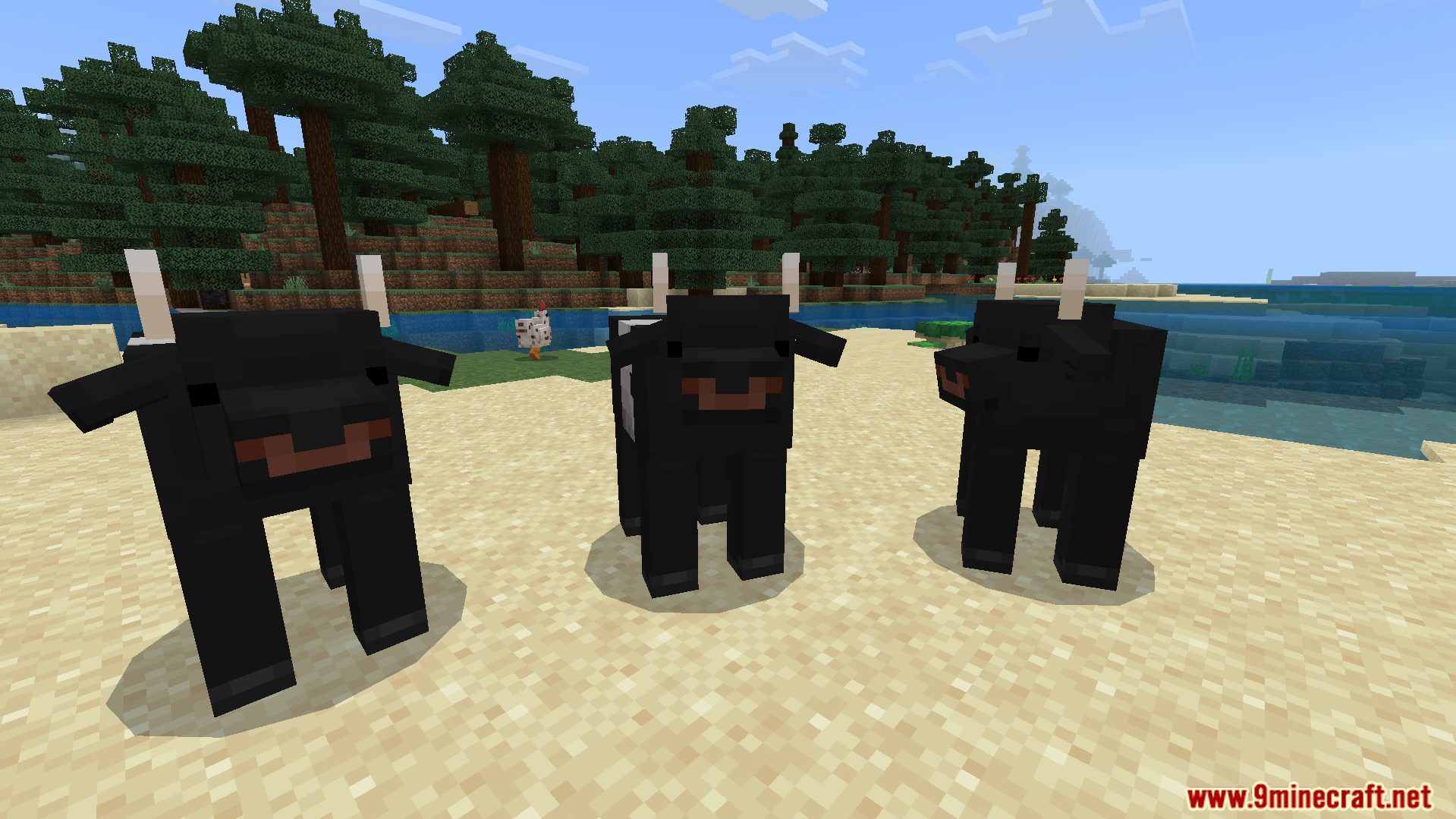JellyJams Texture Pack Screenshot 3 Three black cows with horns standing on a sandy beach near the water