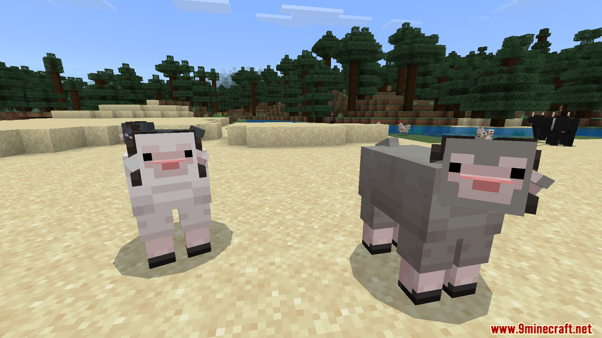JellyJams Texture Pack Screenshot 4 Two sheep with big black horns and pink noses standing on the sand