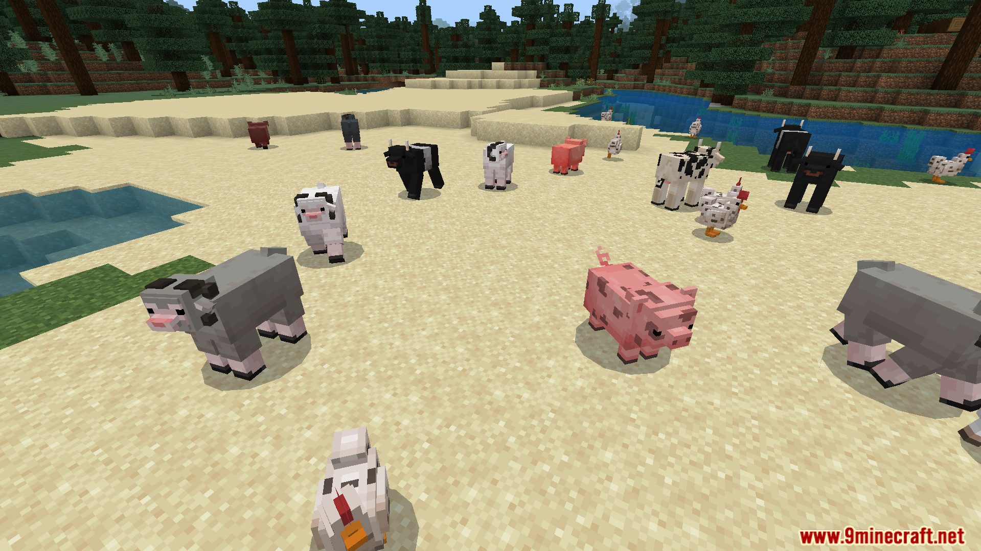 JellyJams Texture Pack Screenshot 6 Various animal variants including cows and sheep standing on a sandy beach