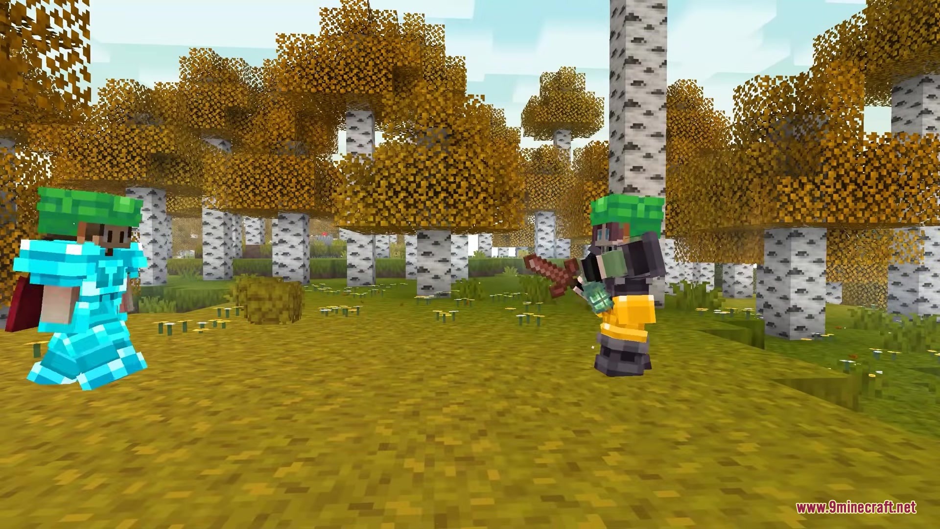 Two Minecraft players facing each other in a golden birch forest biome