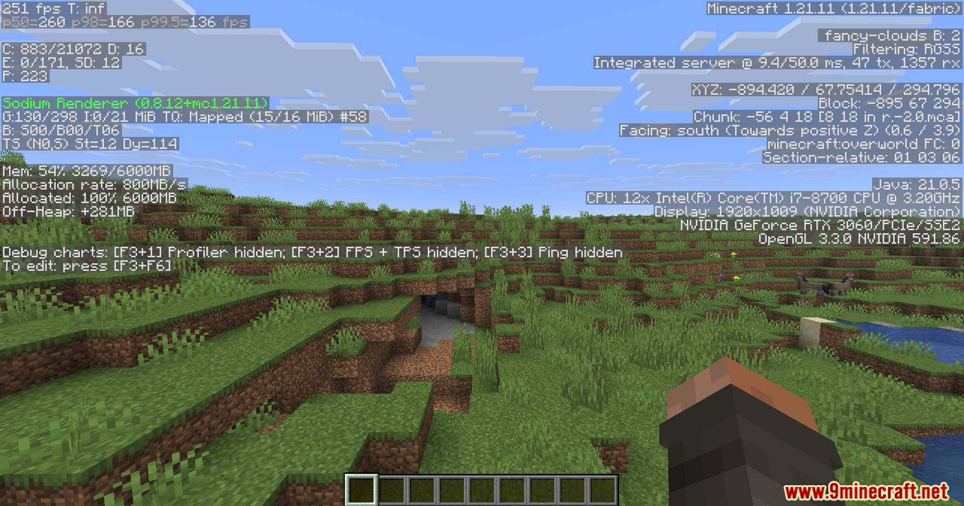 KryptonReno's Fabric Patcher Mod Screenshot 7 Minecraft player standing in a grassy field with the debug menu open