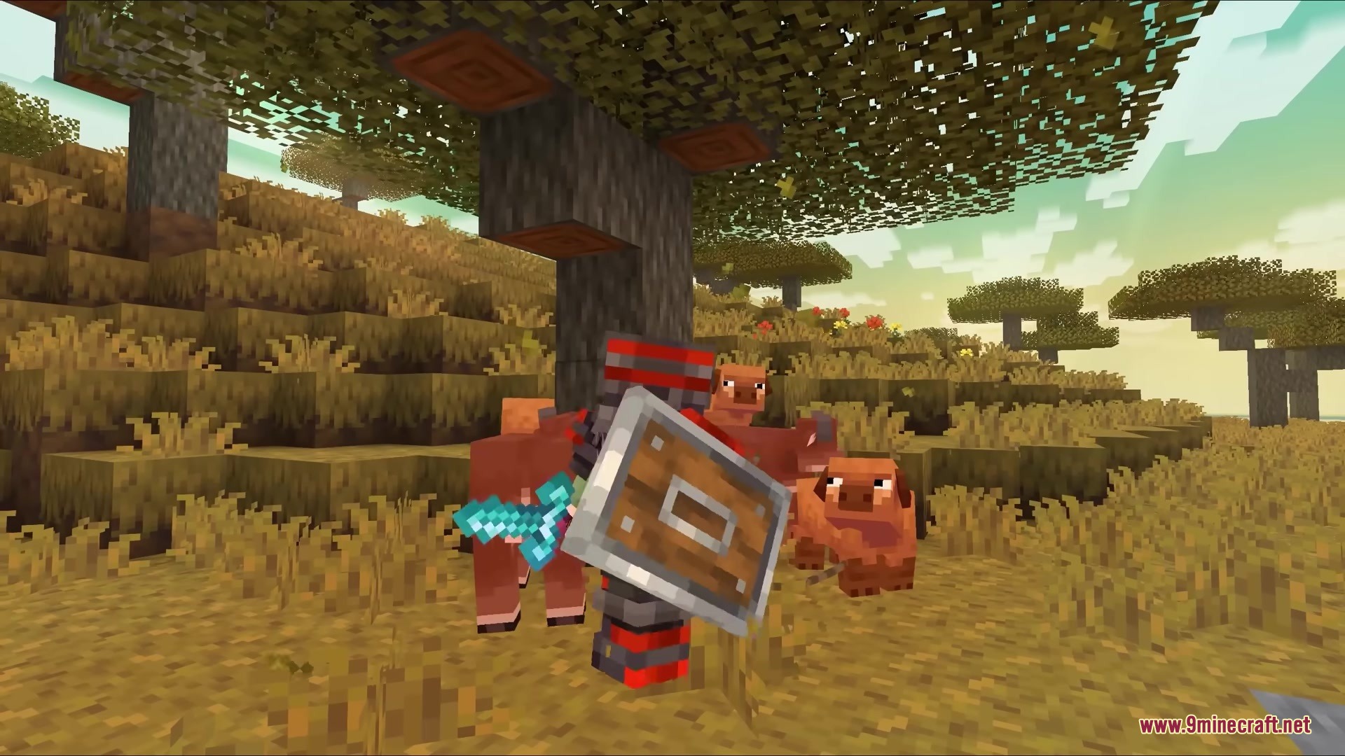 Lead Physics Mod Screenshot 4 Armored player with a shield and sword standing next to pigs in the savanna