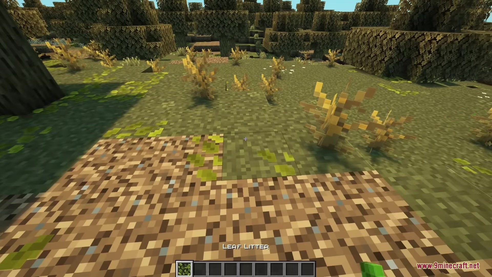Close up view of green and brown leaf litter blocks on the ground
