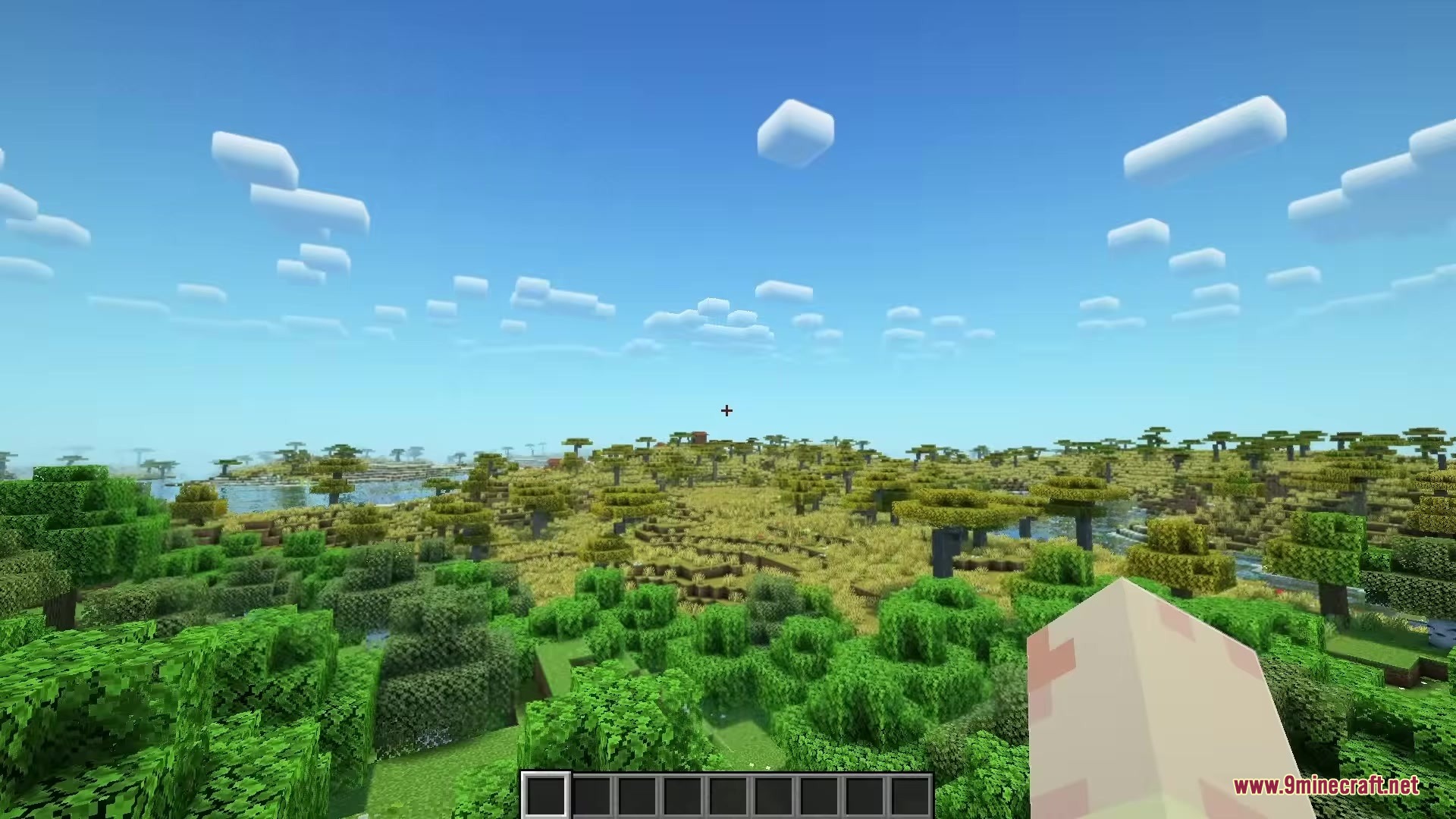 A vast savanna biome with acacia trees under a clear blue sky