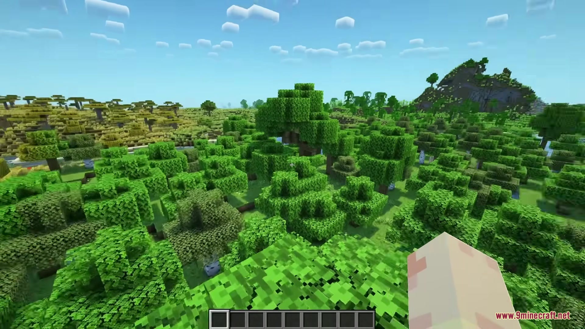 Lush Minecraft forest landscape featuring bright green leaf litter on the ground