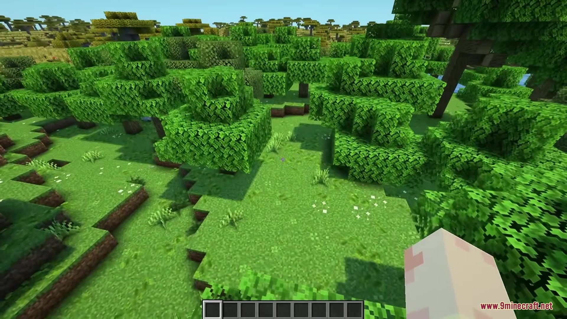Detailed view of green fallen leaves scattered across the grassy forest floor