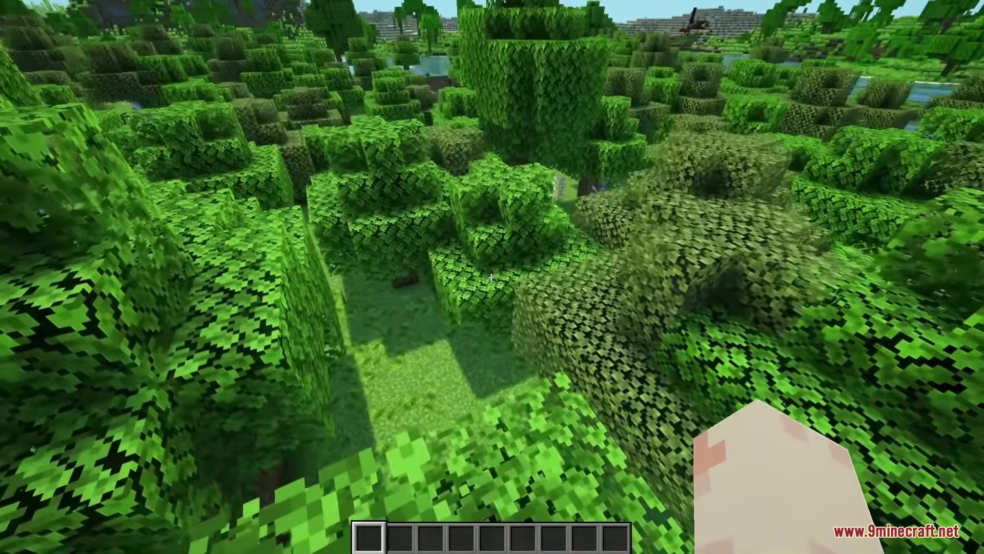 Aerial view of a forest with recolored green leaf litter on the ground