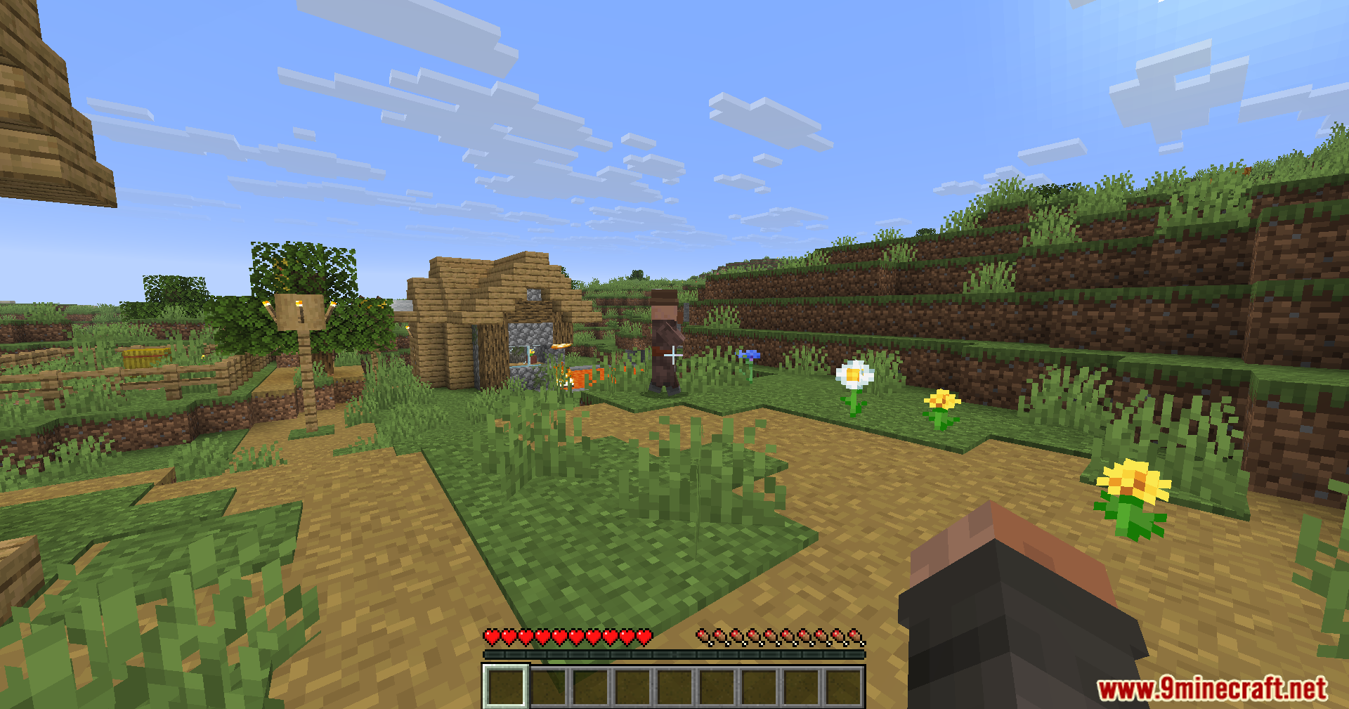 Lightning Grim Anticheat Mod Screenshot 4 First person view of a villager standing near a wooden house and flowers