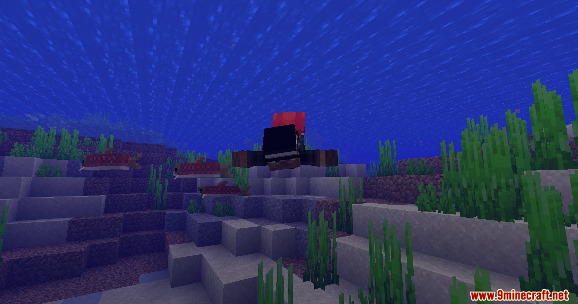 Lightning Grim Anticheat Mod Screenshot 7 A Minecraft player swimming underwater alongside a group of salmon fish