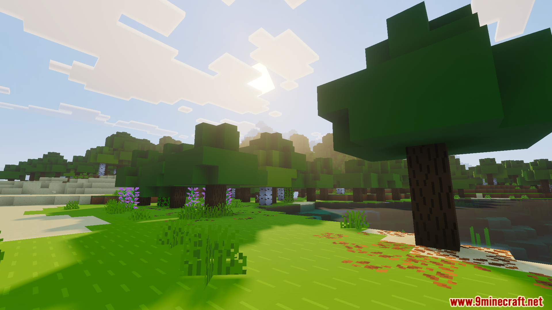 Like the Trailers Plus Texture Pack Screenshot 6 Lush green forest with simplified tree leaves and bright shader lighting effects