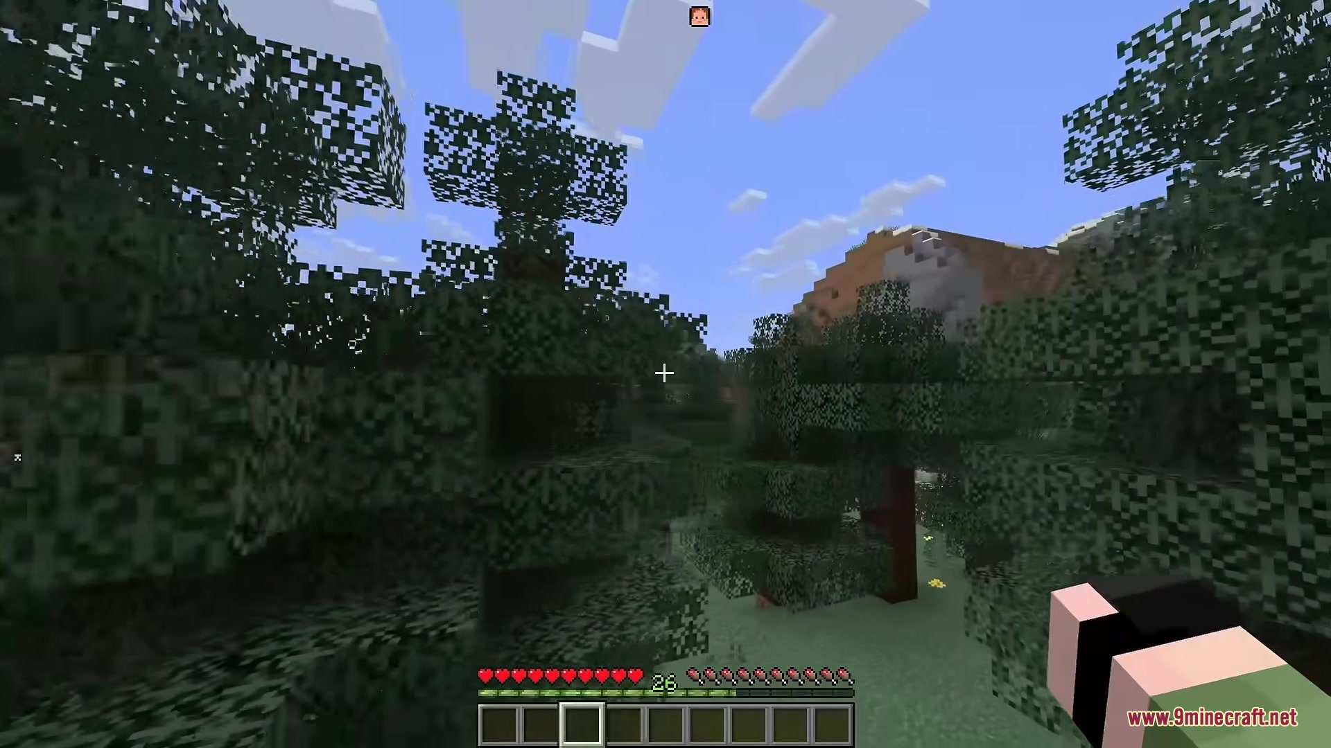 A player head icon is visible above a forest and a mountain