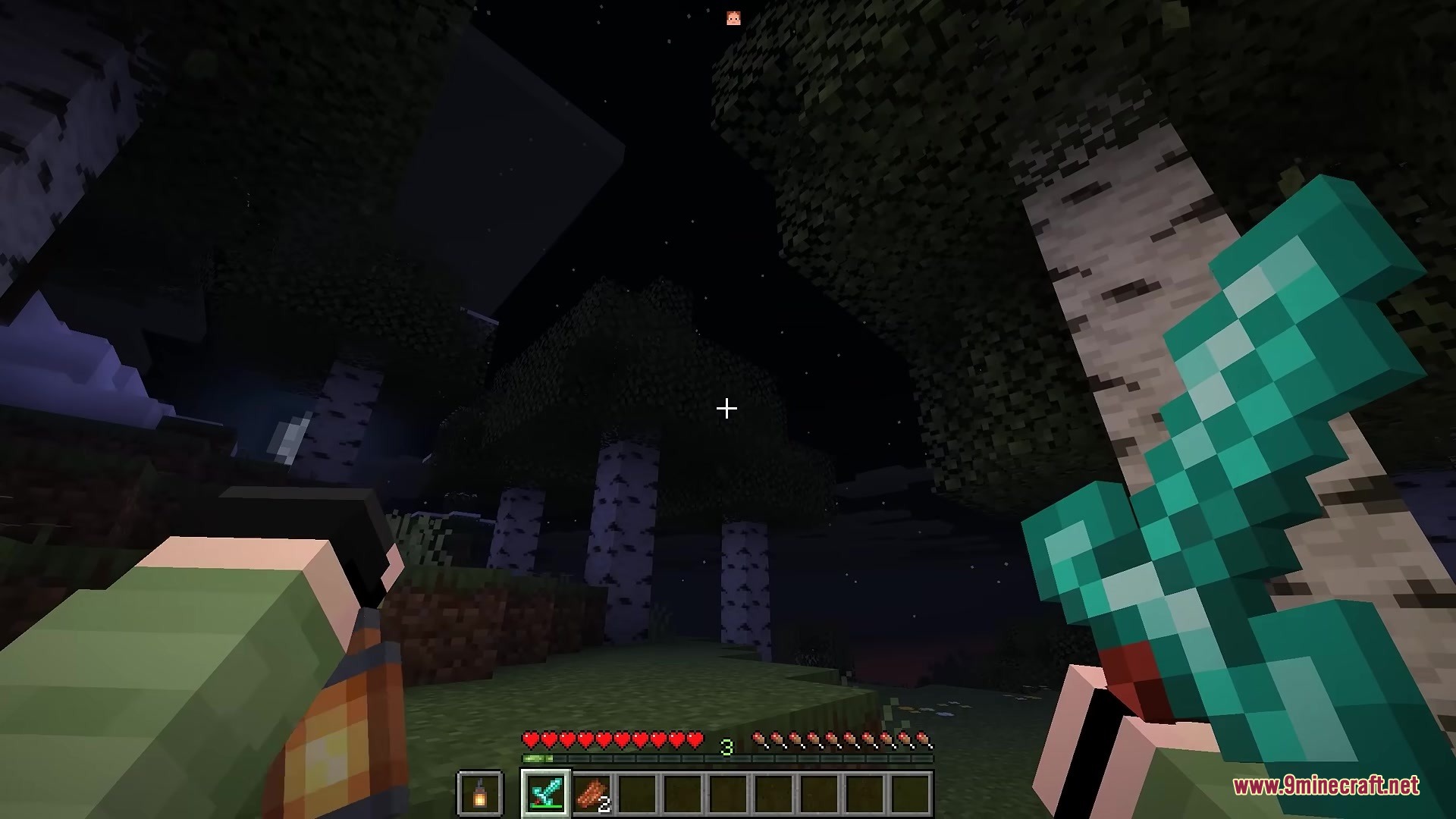 Player explores a dark forest at night with a diamond sword and lantern