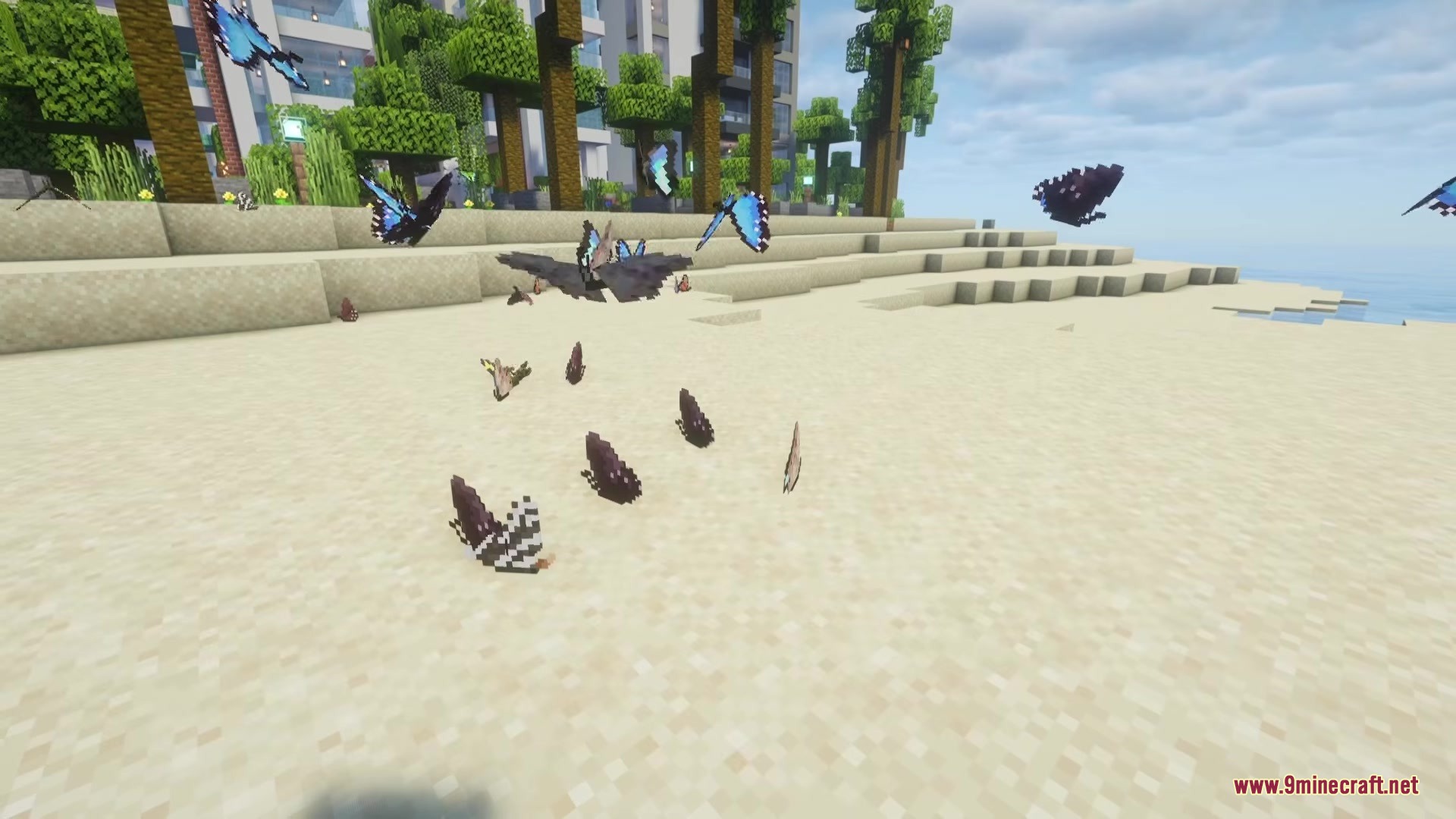 Many colorful butterflies and moths flying over a sandy beach in Minecraft