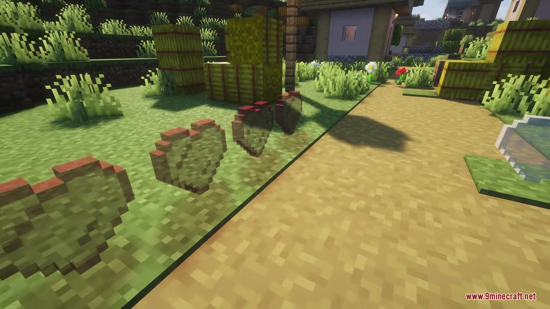 Love Core Mod Screenshot 10 Heart shaped glass blocks placed on grass next to a path