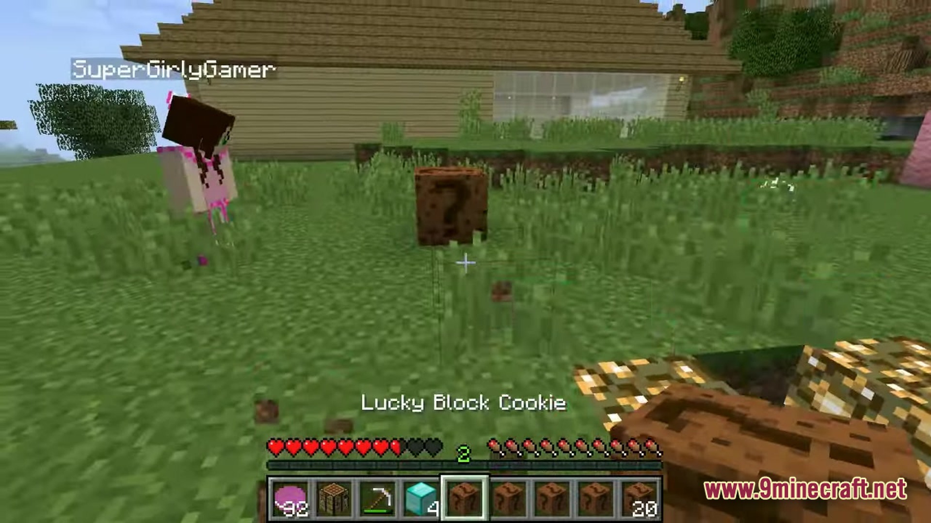 Lucky Block Challenge OneBlock Map Screenshot 3