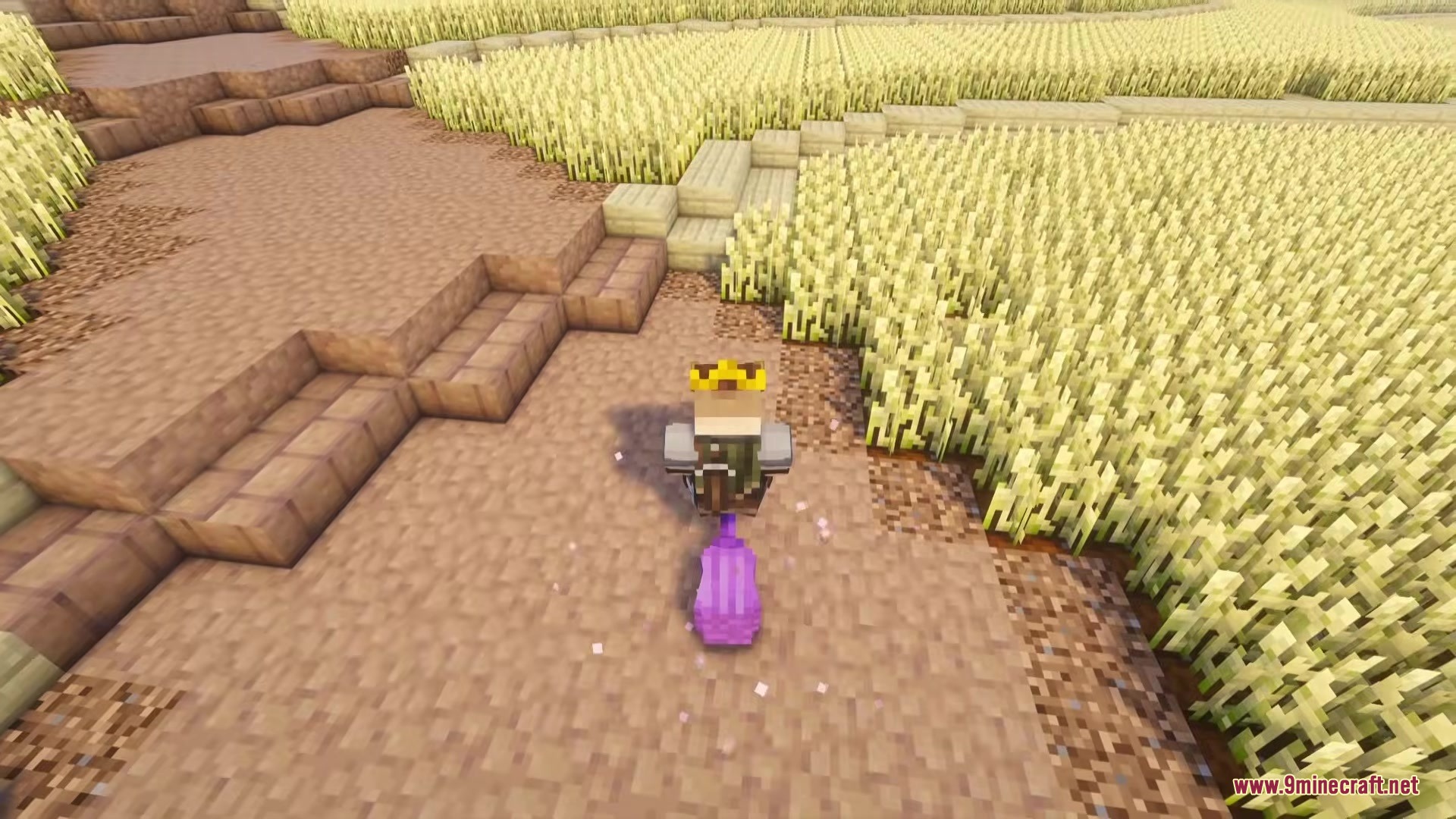 Magic Brooms Mod Screenshot 5 A player wearing a crown sits on a purple broom on a dirt path