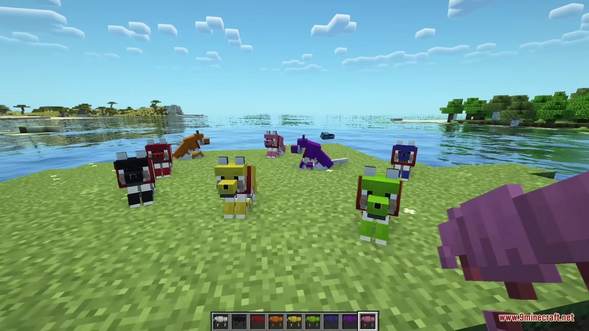 A pack of colorful wolves gathered on a grassy field by the water